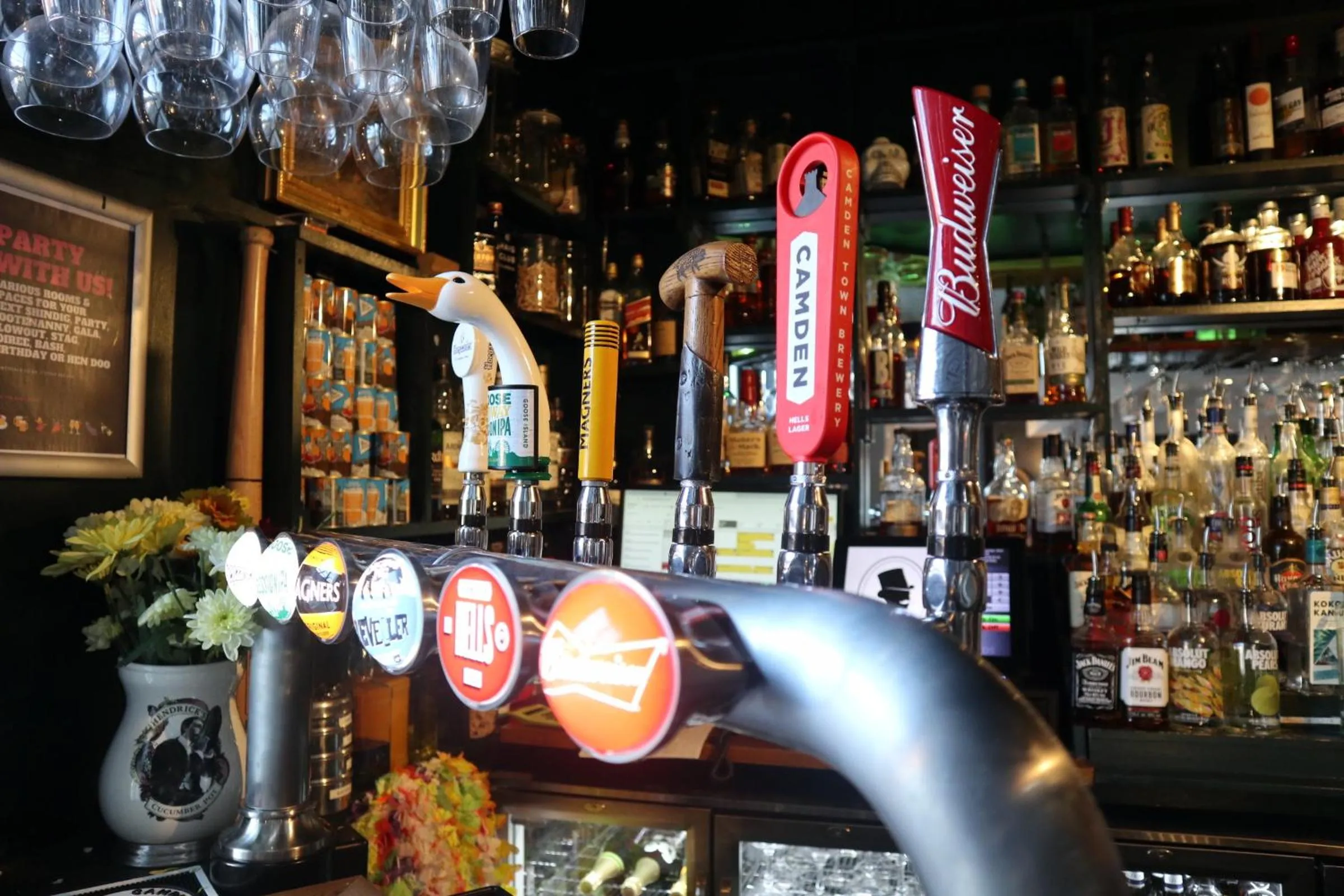 Food and drinks in The Albert Hotel