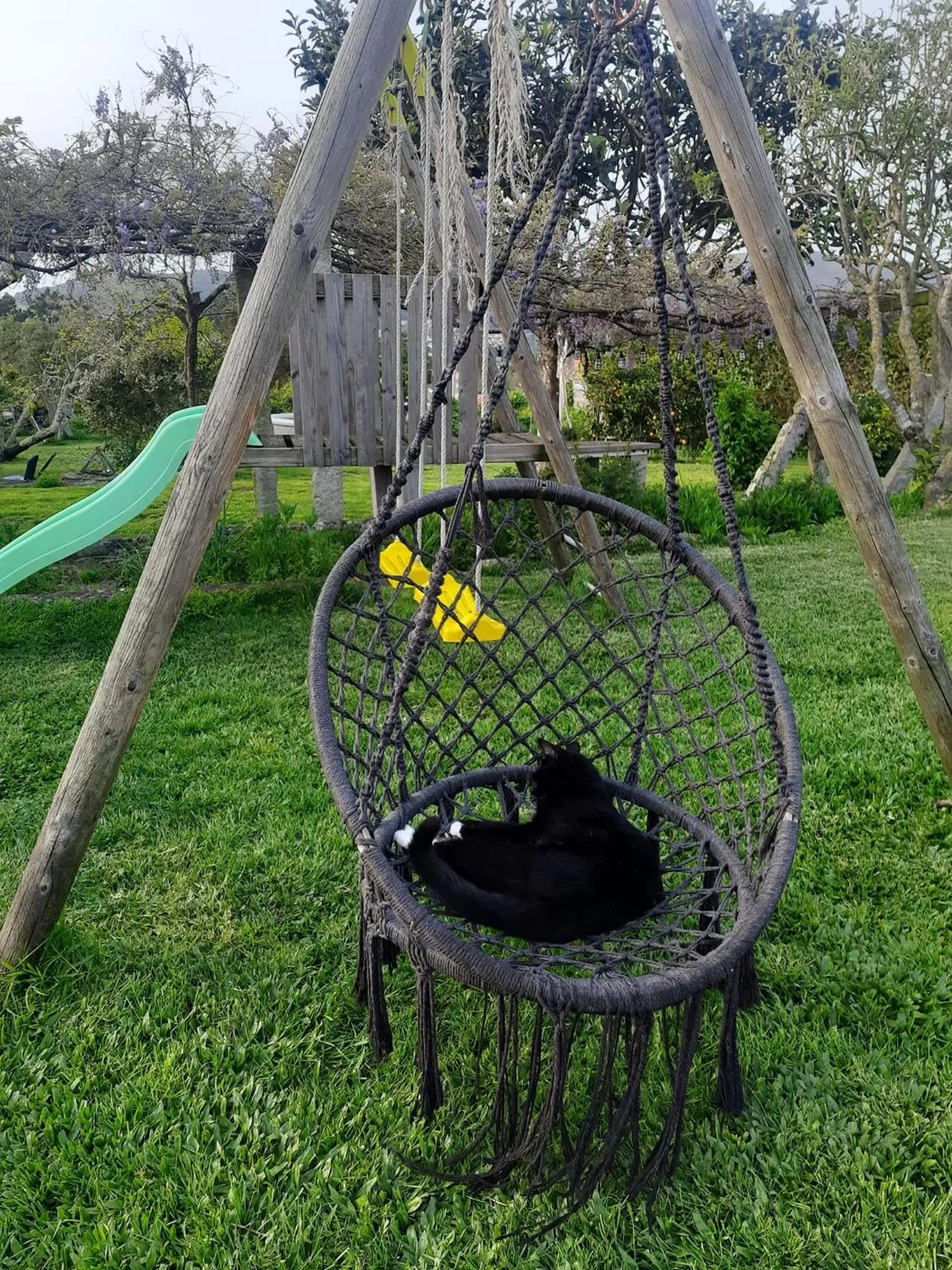 Garden in Casinha Nº461