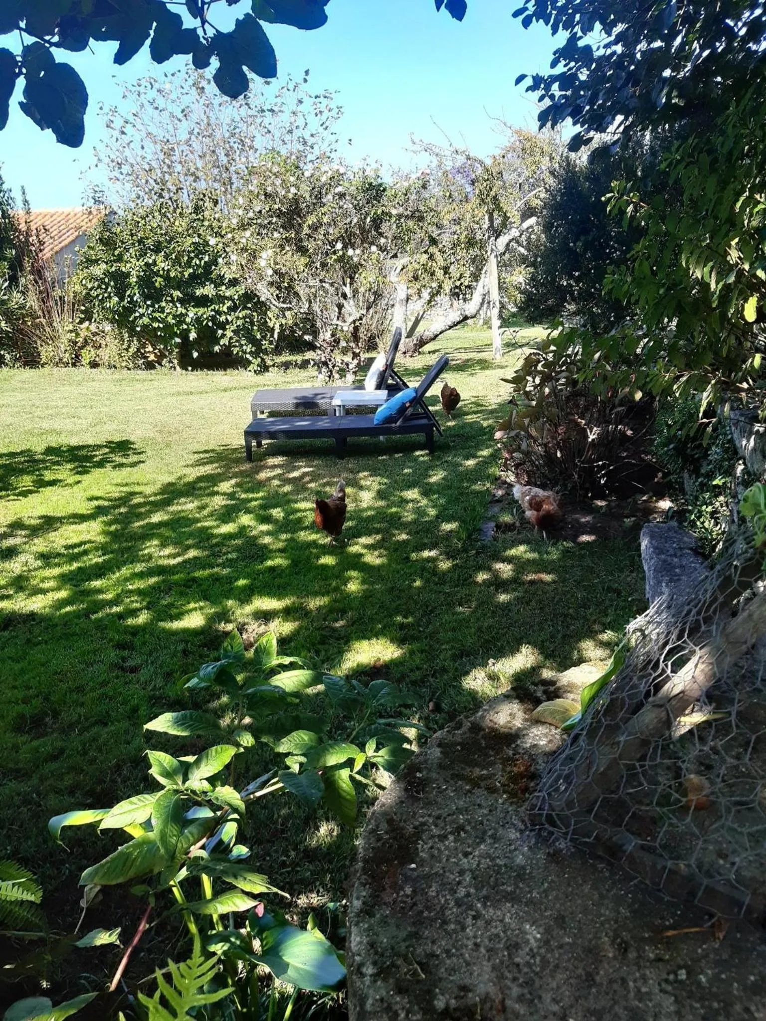 Garden in Casinha Nº461
