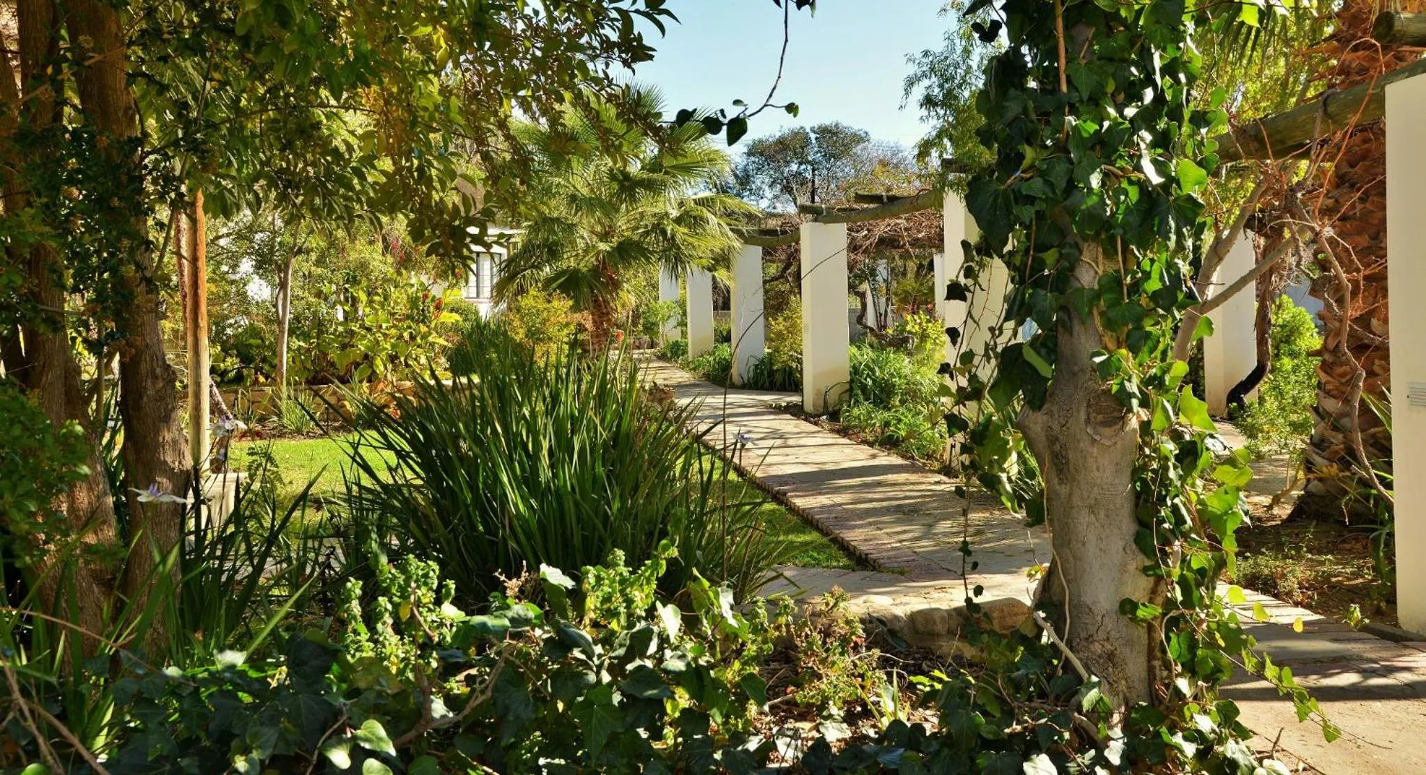 Property building in Mont d'Or Swartberg Hotel