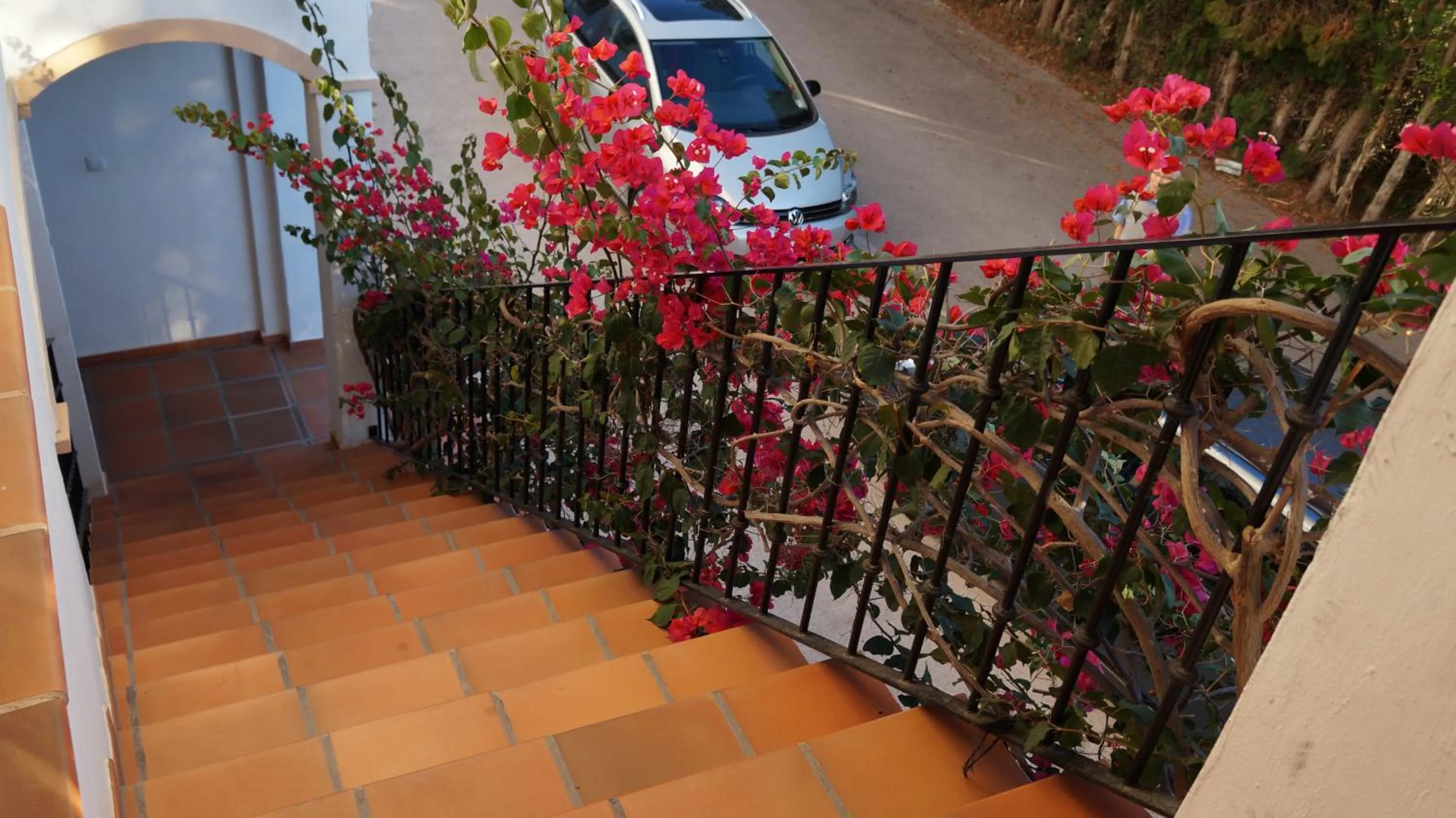 Facade/entrance in Albadomus