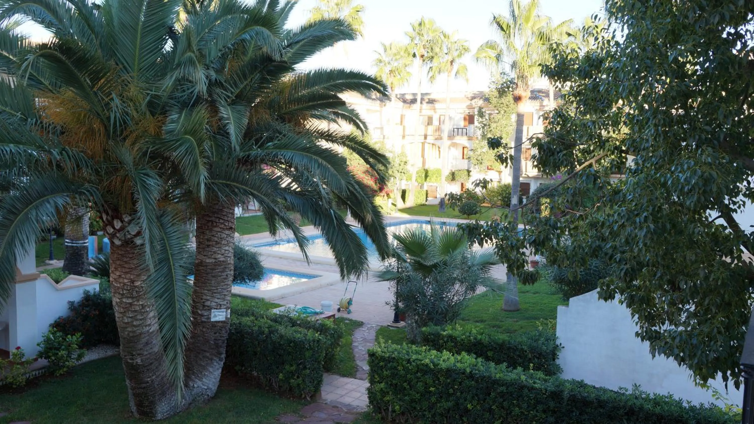 Garden view in Albadomus