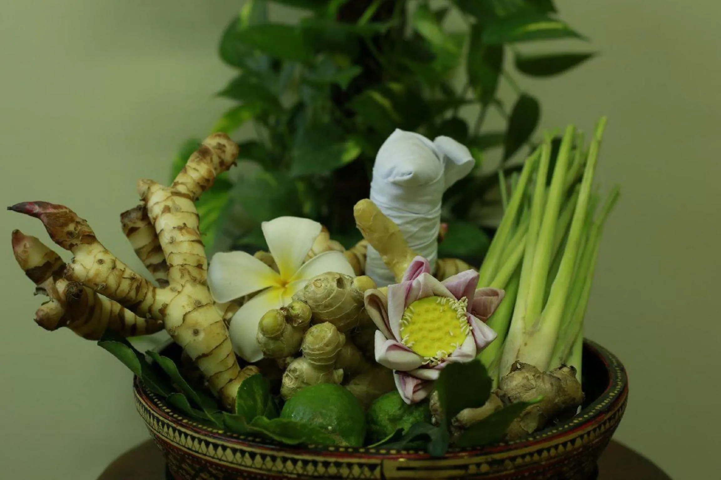 Massage in Chheng Residence