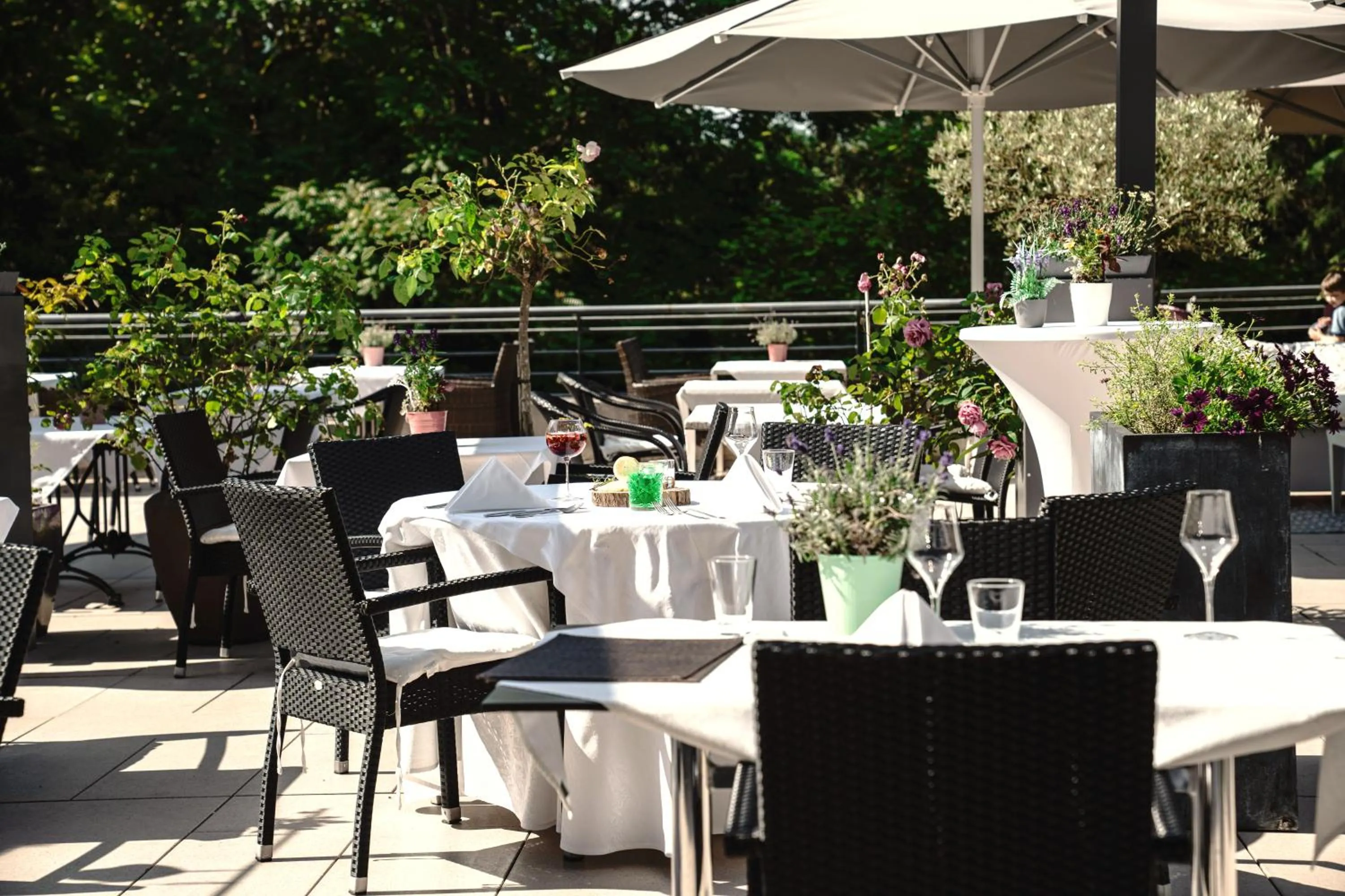 Spring in Hotel Bel Air Trail & Wellness