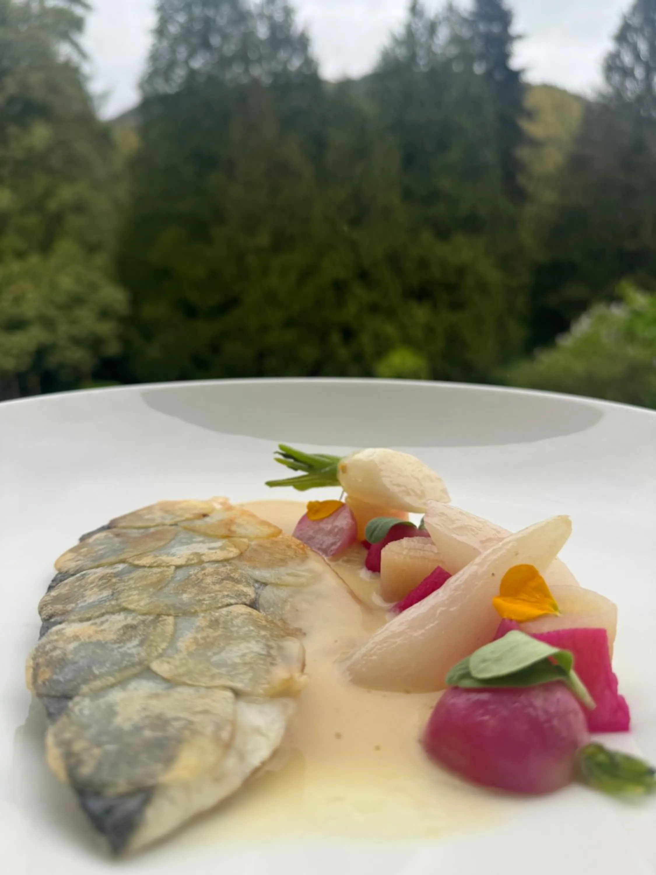 Food in Hotel Bel Air Trail & Wellness