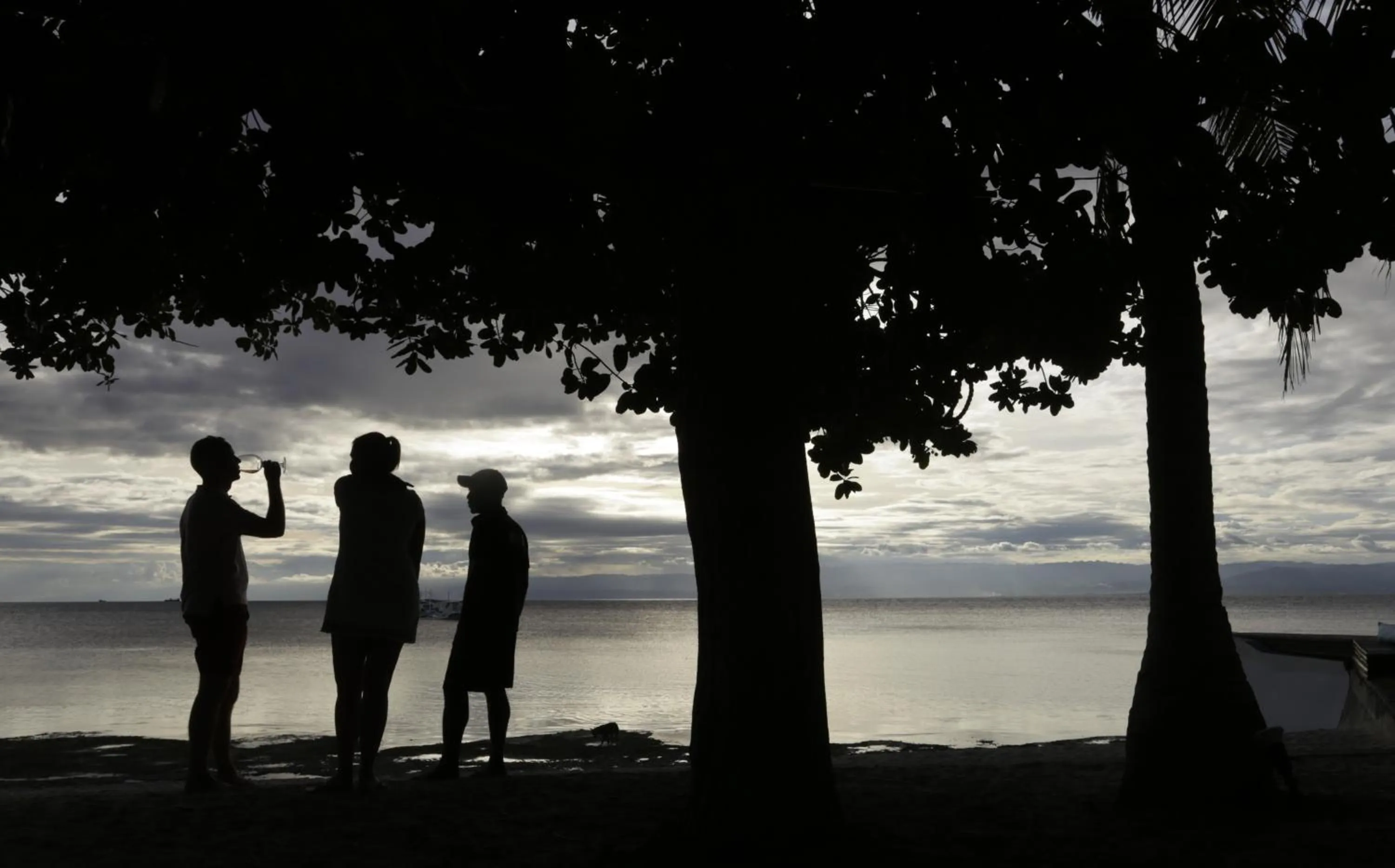 Property building in Cabilao Sanctuary Beach & Dive Resort