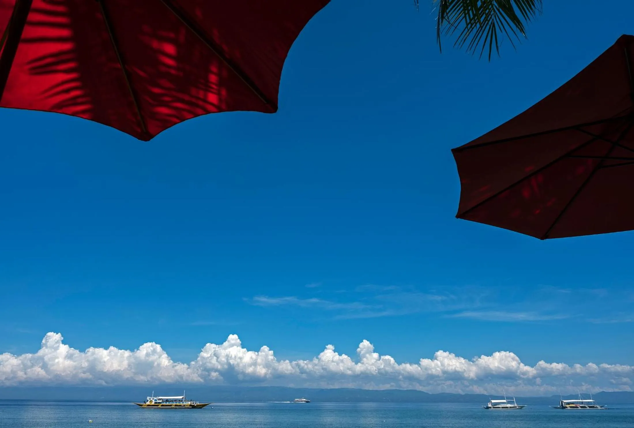 Sea view in Cabilao Sanctuary Beach & Dive Resort