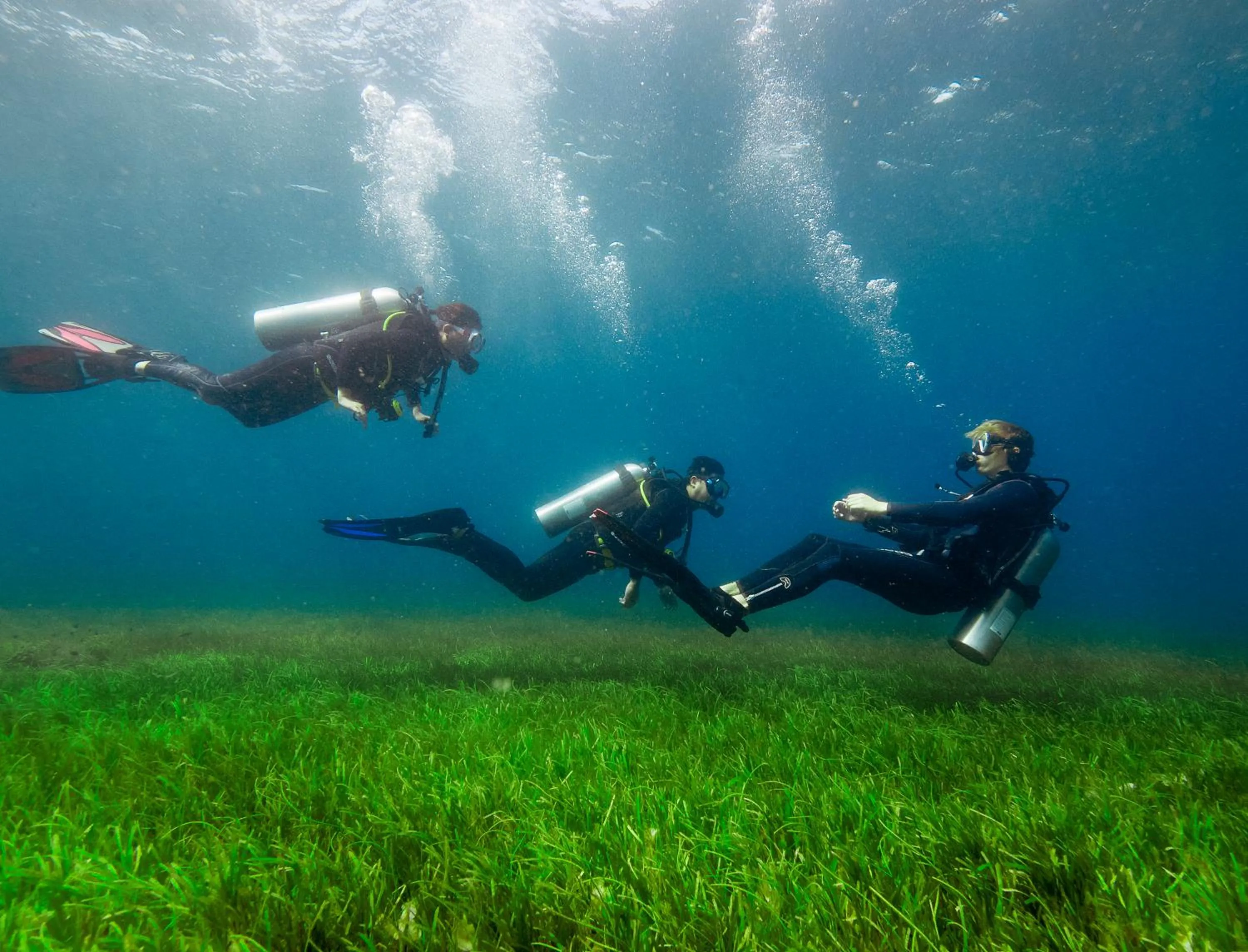 Property building in Cabilao Sanctuary Beach & Dive Resort