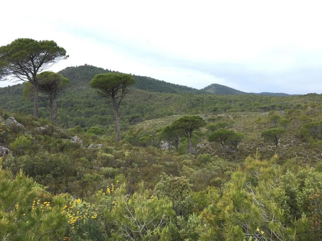 Hiking in La Villa aux Oliviers