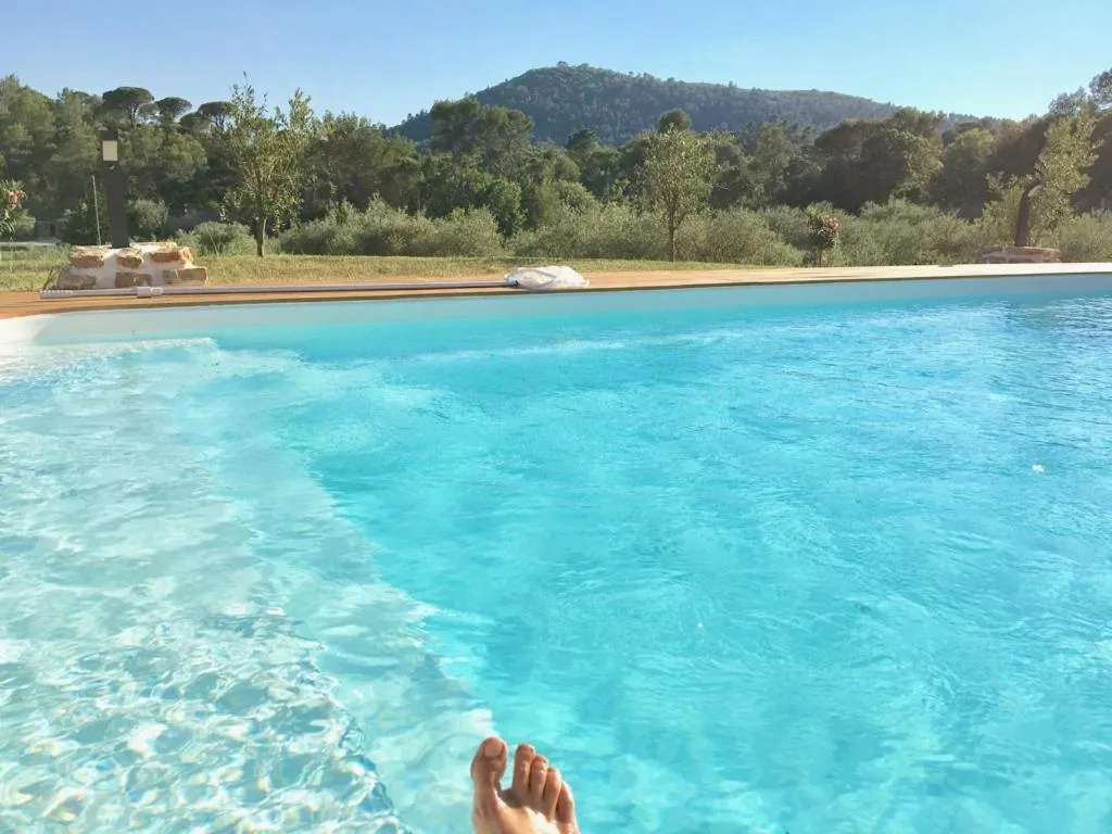 Swimming pool in La Villa aux Oliviers