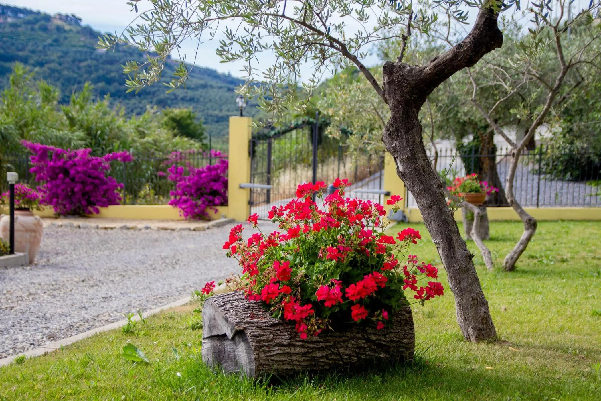 Garden in Appartamenti Antico Frantoio Doria
