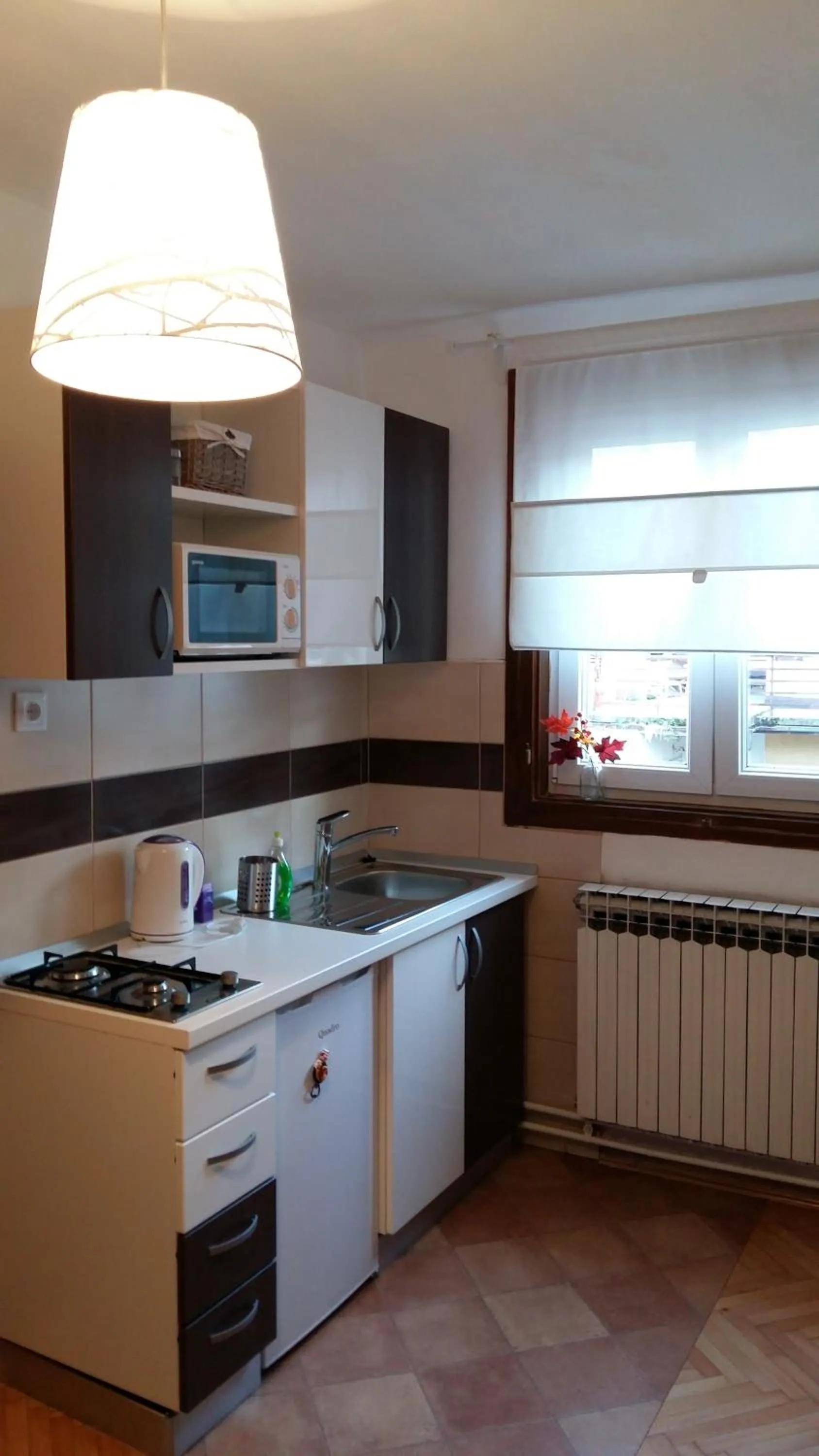 Kitchen or kitchenette in Apartmani Stonewood