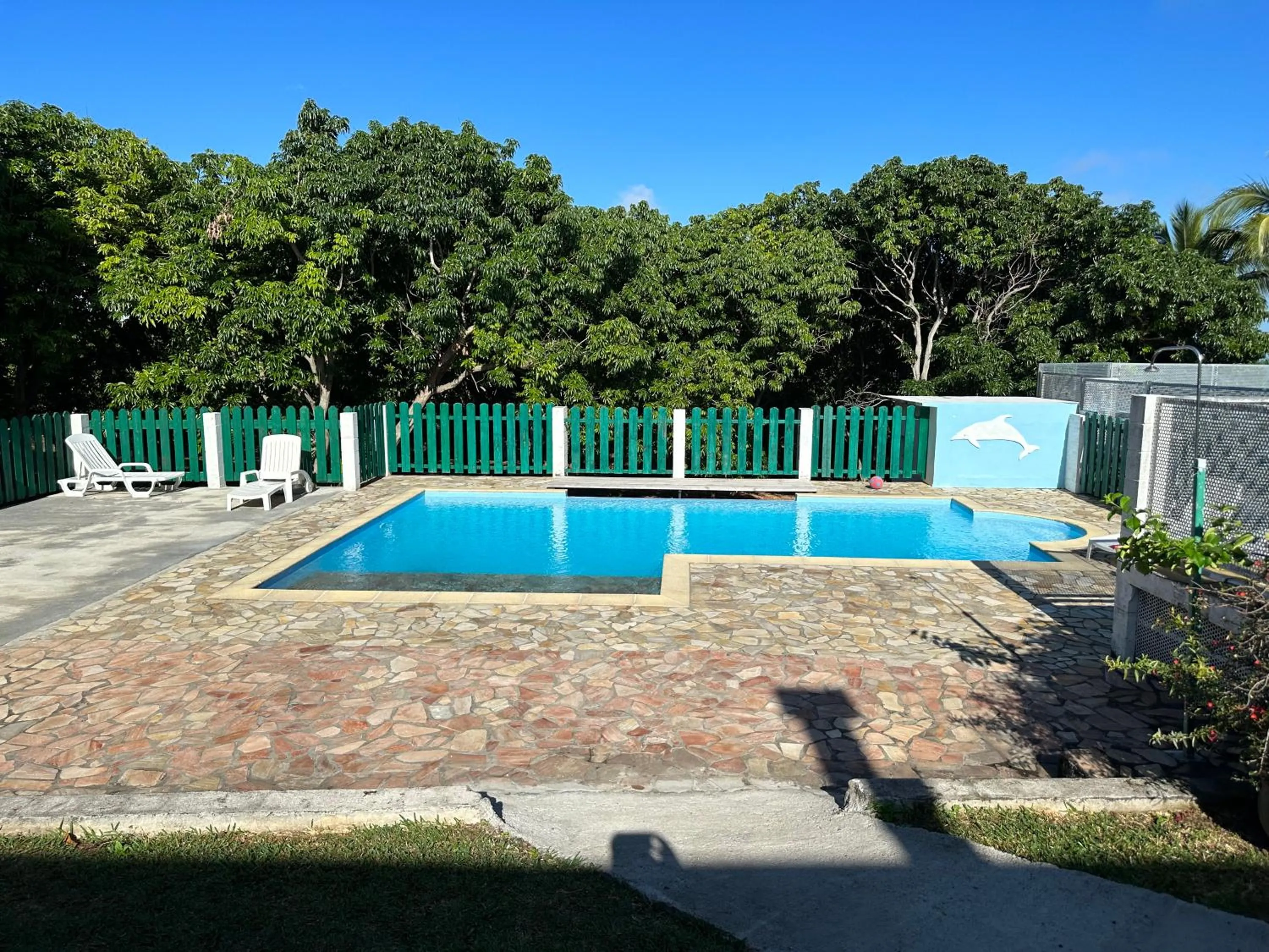 Swimming pool in Zoiseaux Pays