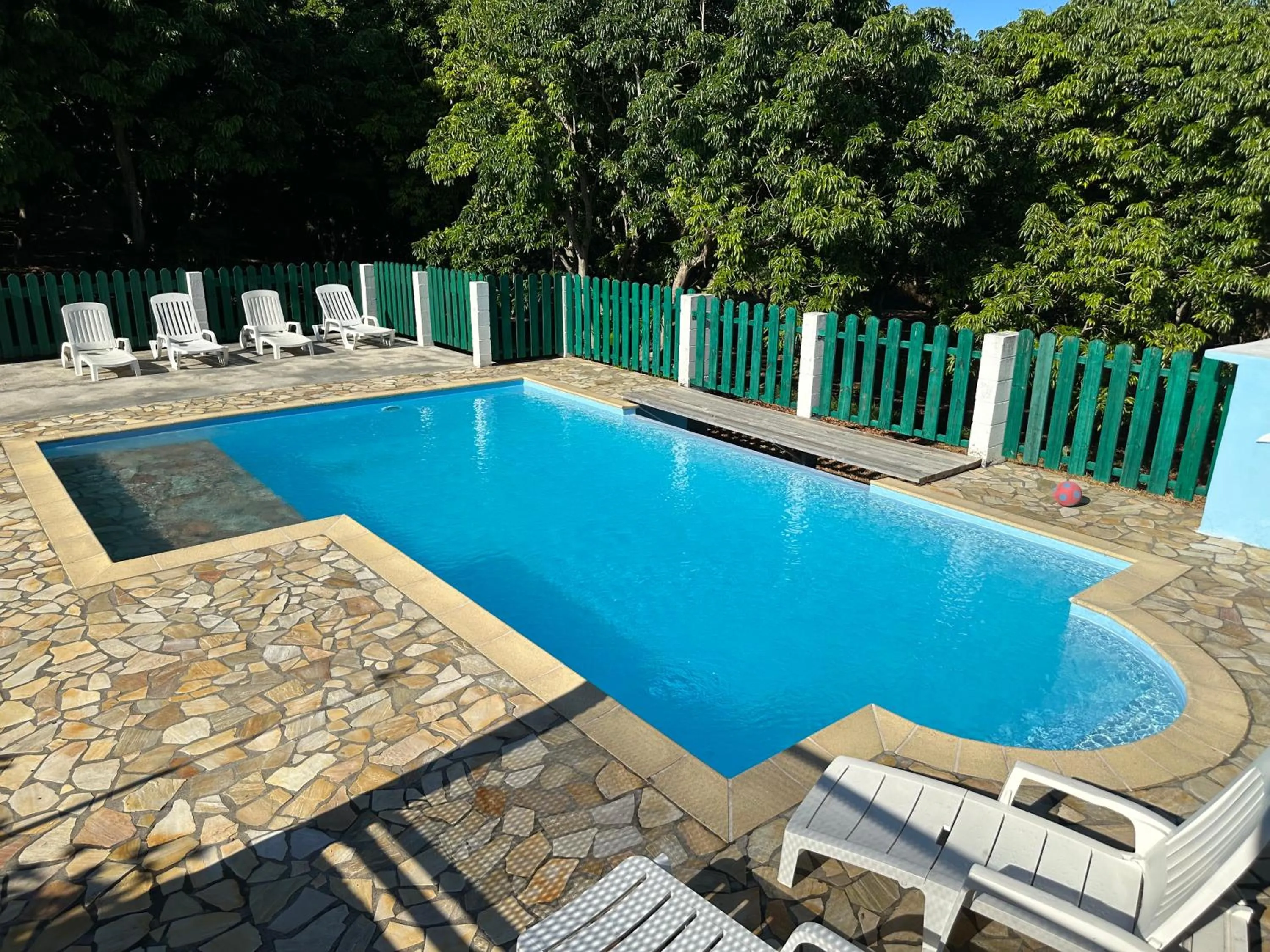 Swimming pool in Zoiseaux Pays