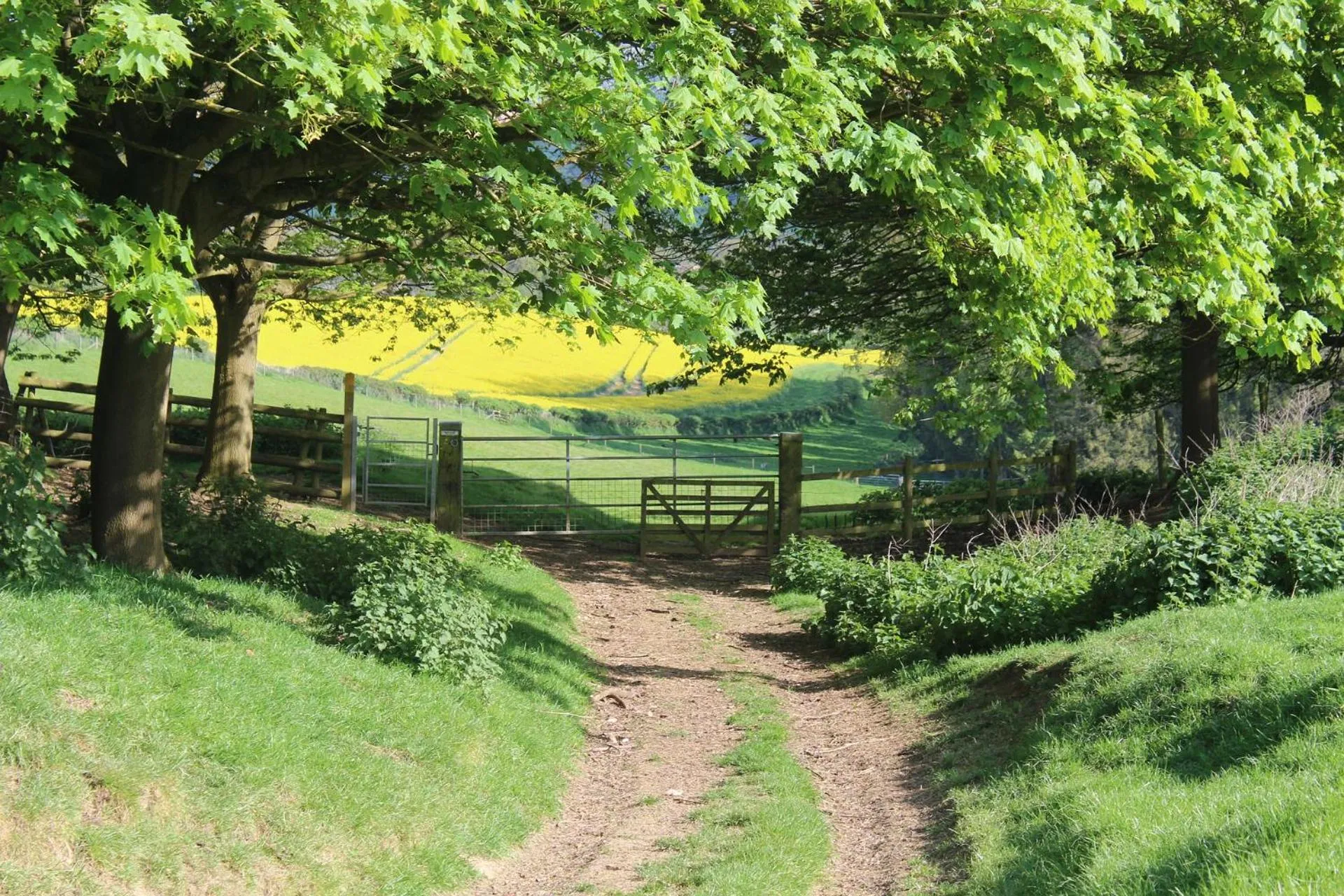 Natural landscape in The Barrel Store Cirencester