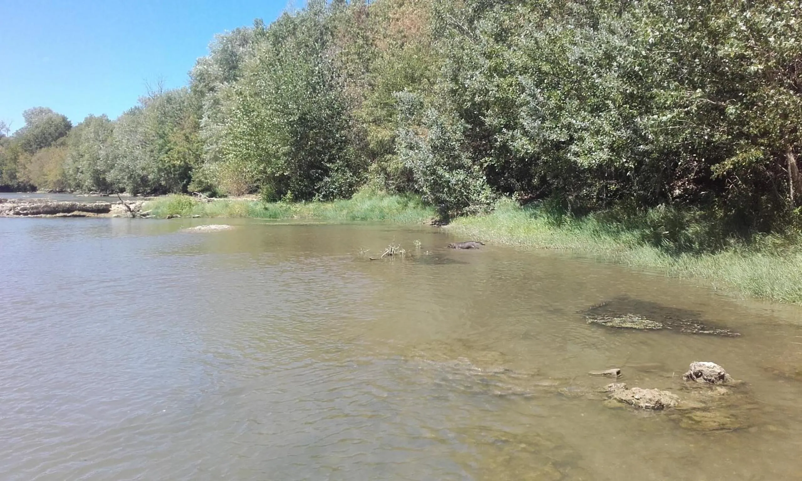 Natural landscape in Chambre d'hôtes avec cuisine commune - 5 mns de Narbonne