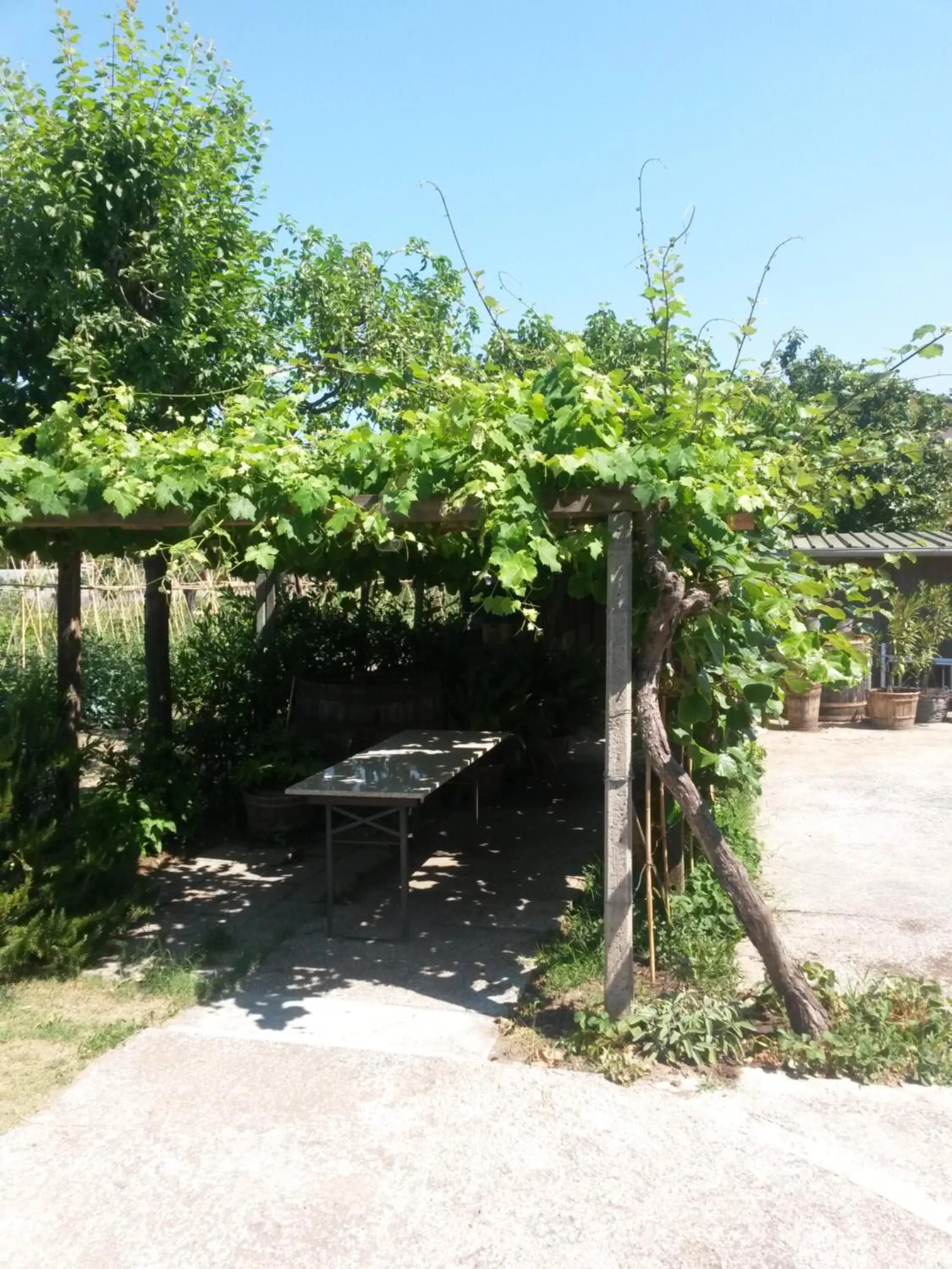 Area and facilities in Nonna Piera