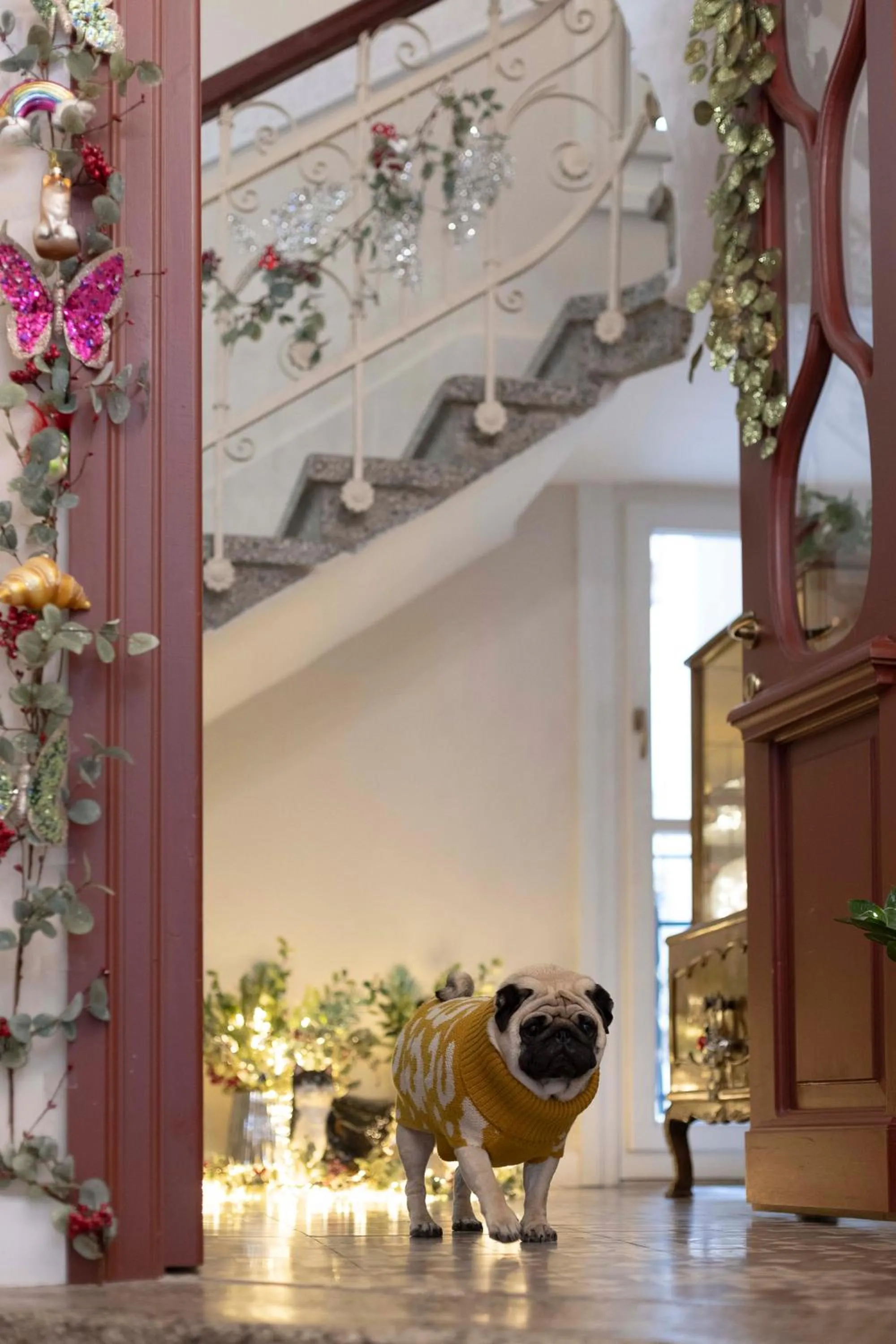 Lobby or reception in Gatto Perso Luxury Studios And Apartments