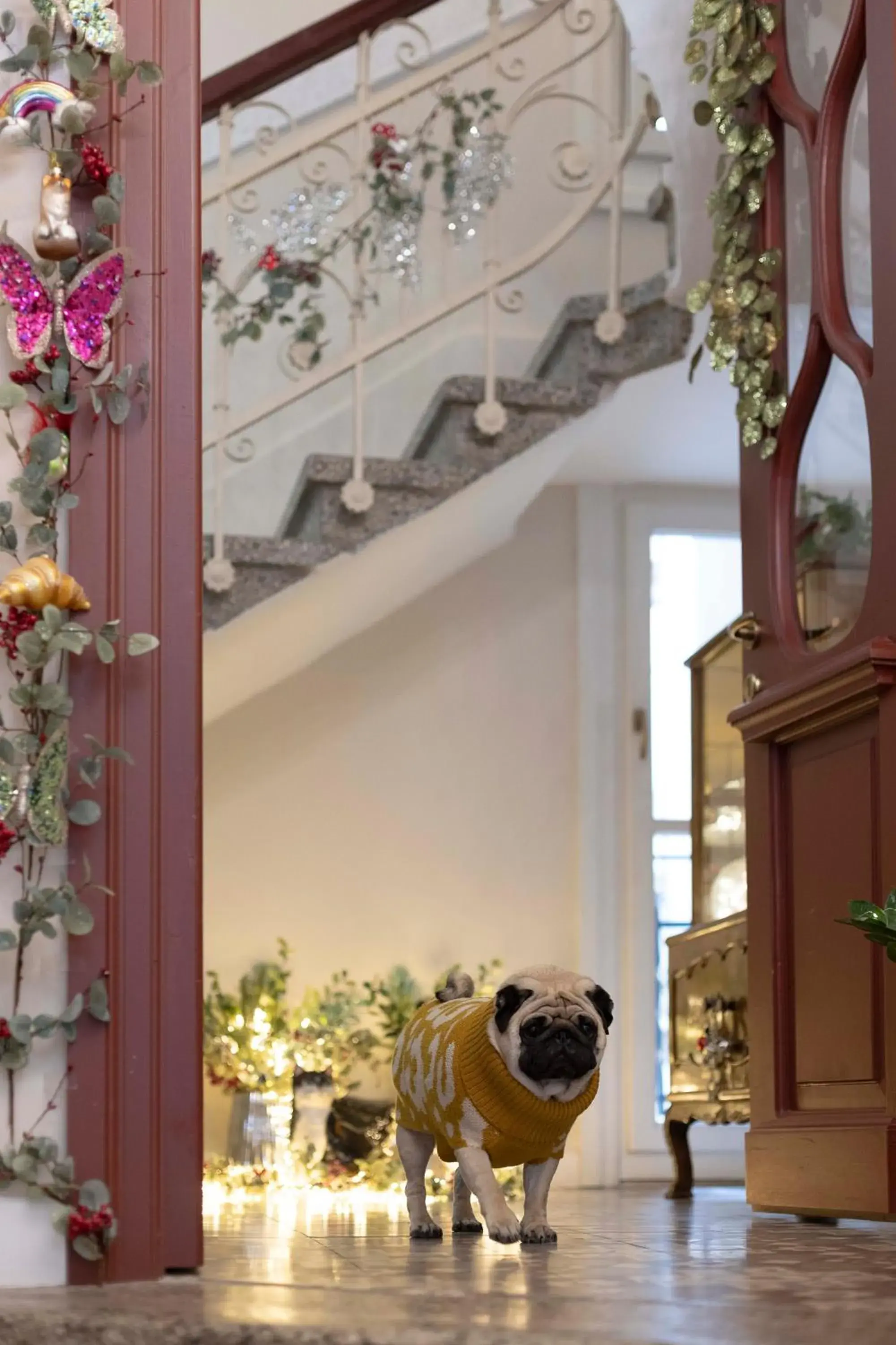 Lobby or reception in Gatto Perso Luxury Studios And Apartments Lobby or reception in Gatto Perso Luxury Studios And Apartments