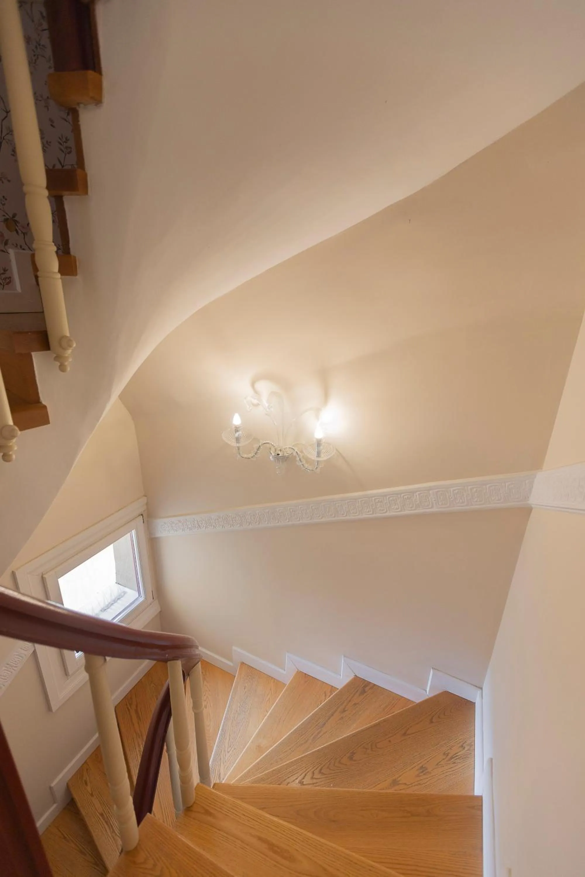 Gatto Perso Luxury Studios And Apartments