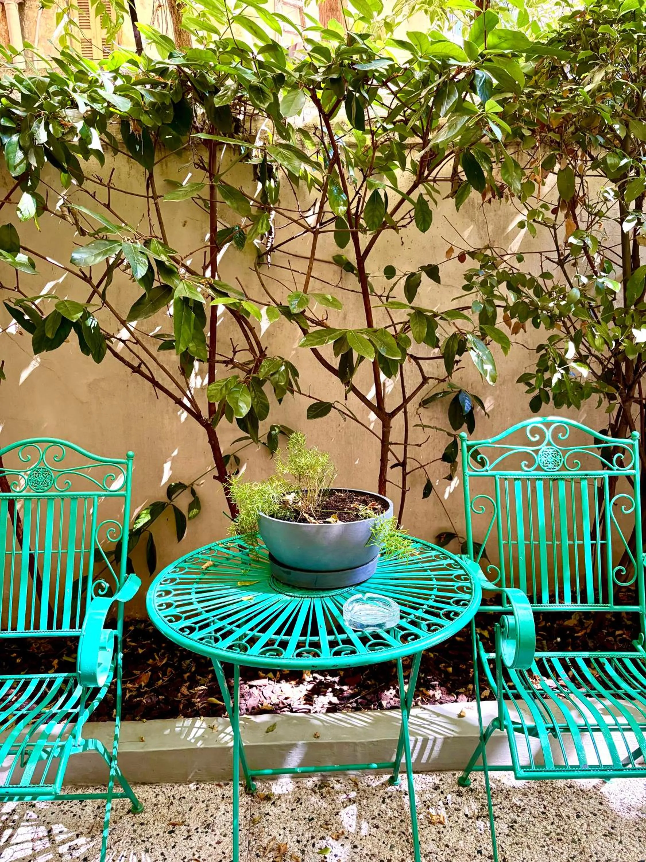 Garden in Gatto Perso Luxury Studios And Apartments