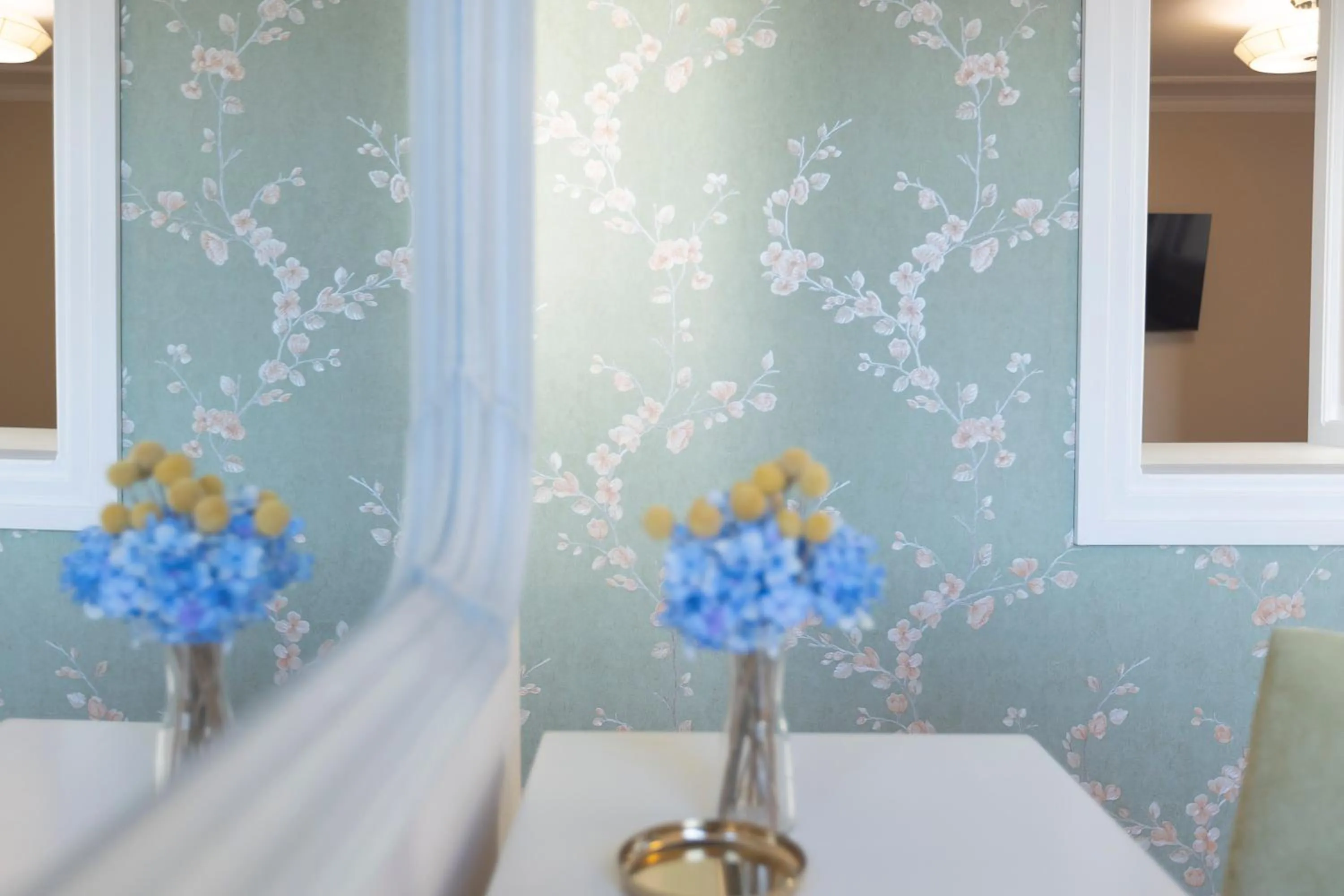 Gatto Perso Luxury Studios And Apartments