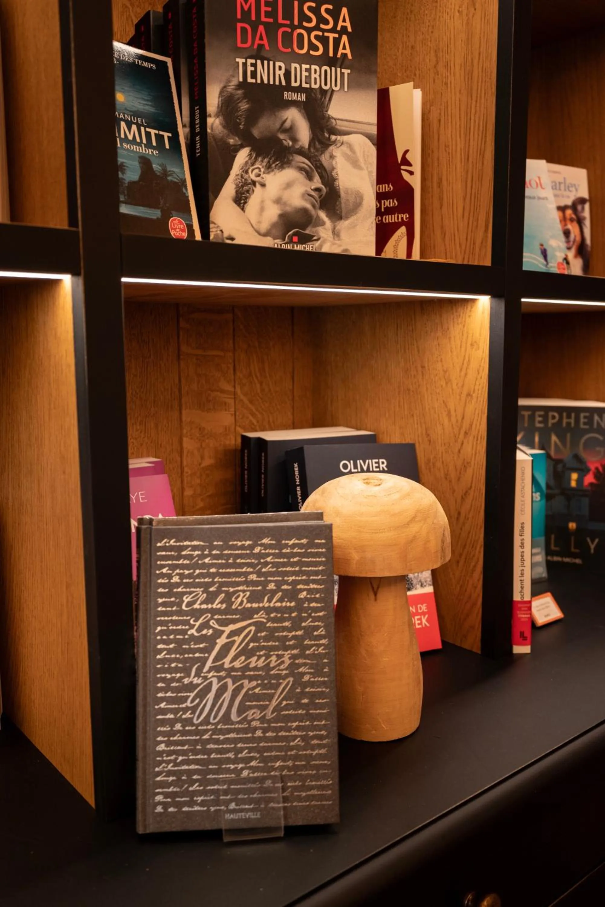 Library in Chateau d'Urspelt