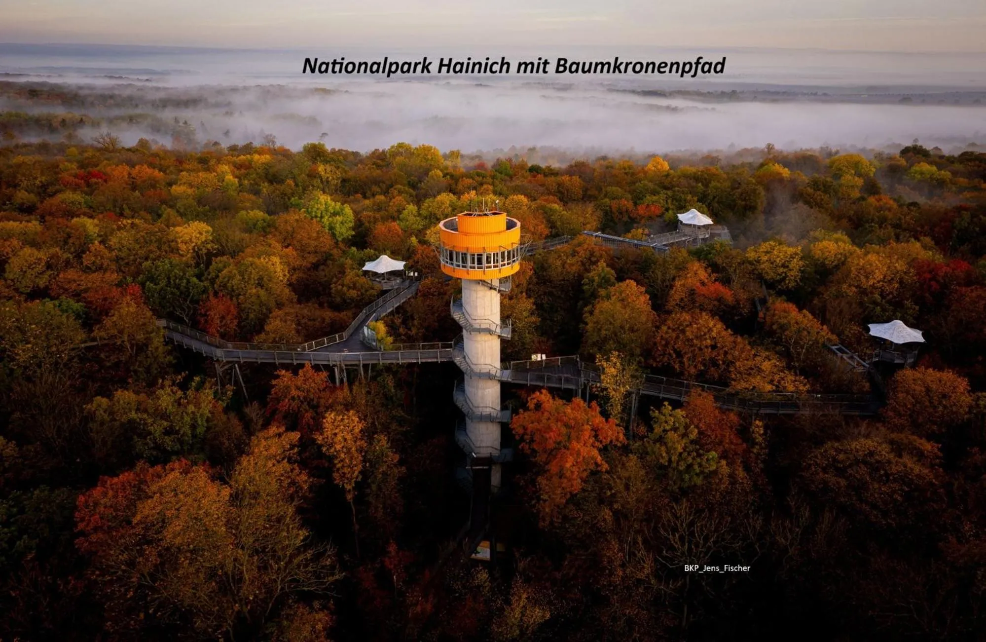 Ferienhaus Ringelwiese