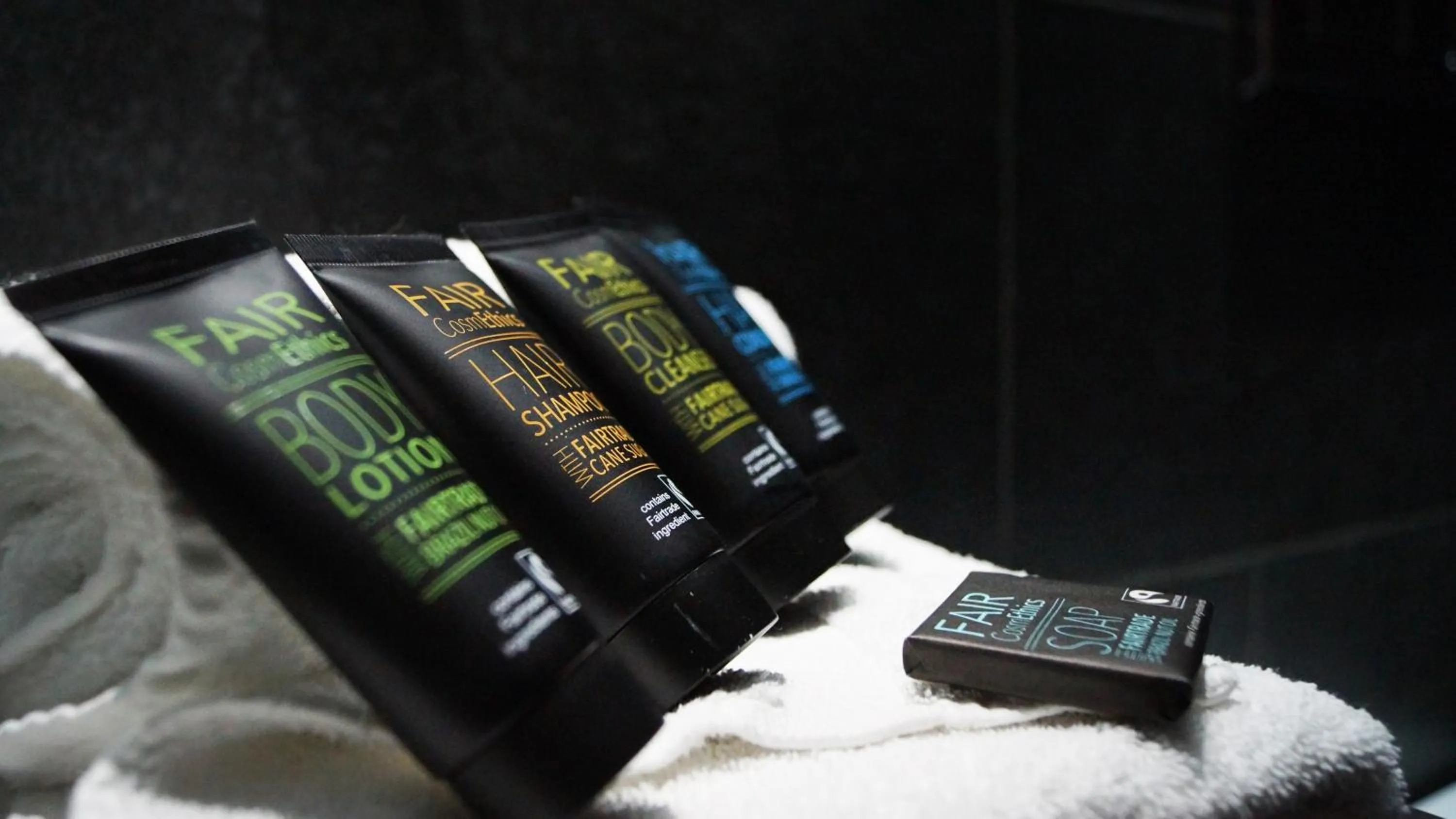 Shower in Hotel Olivier