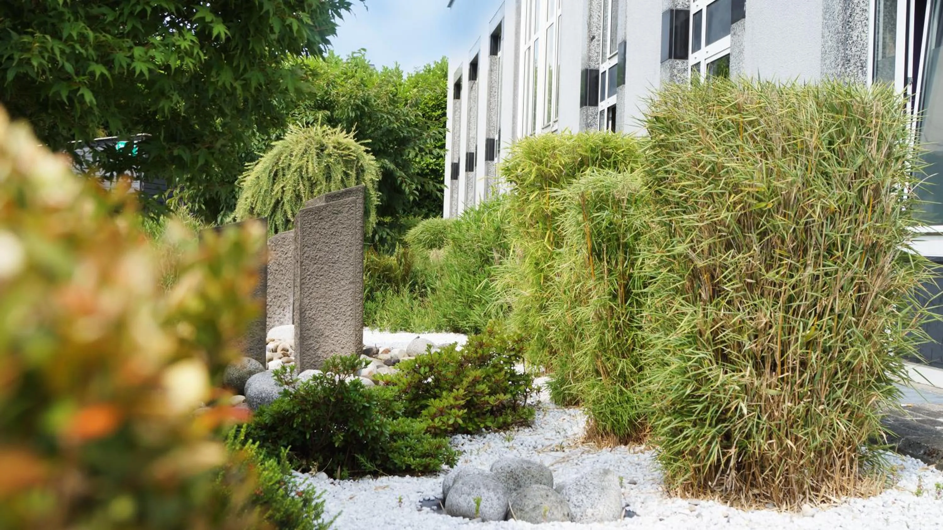 Garden in Hotel Olivier