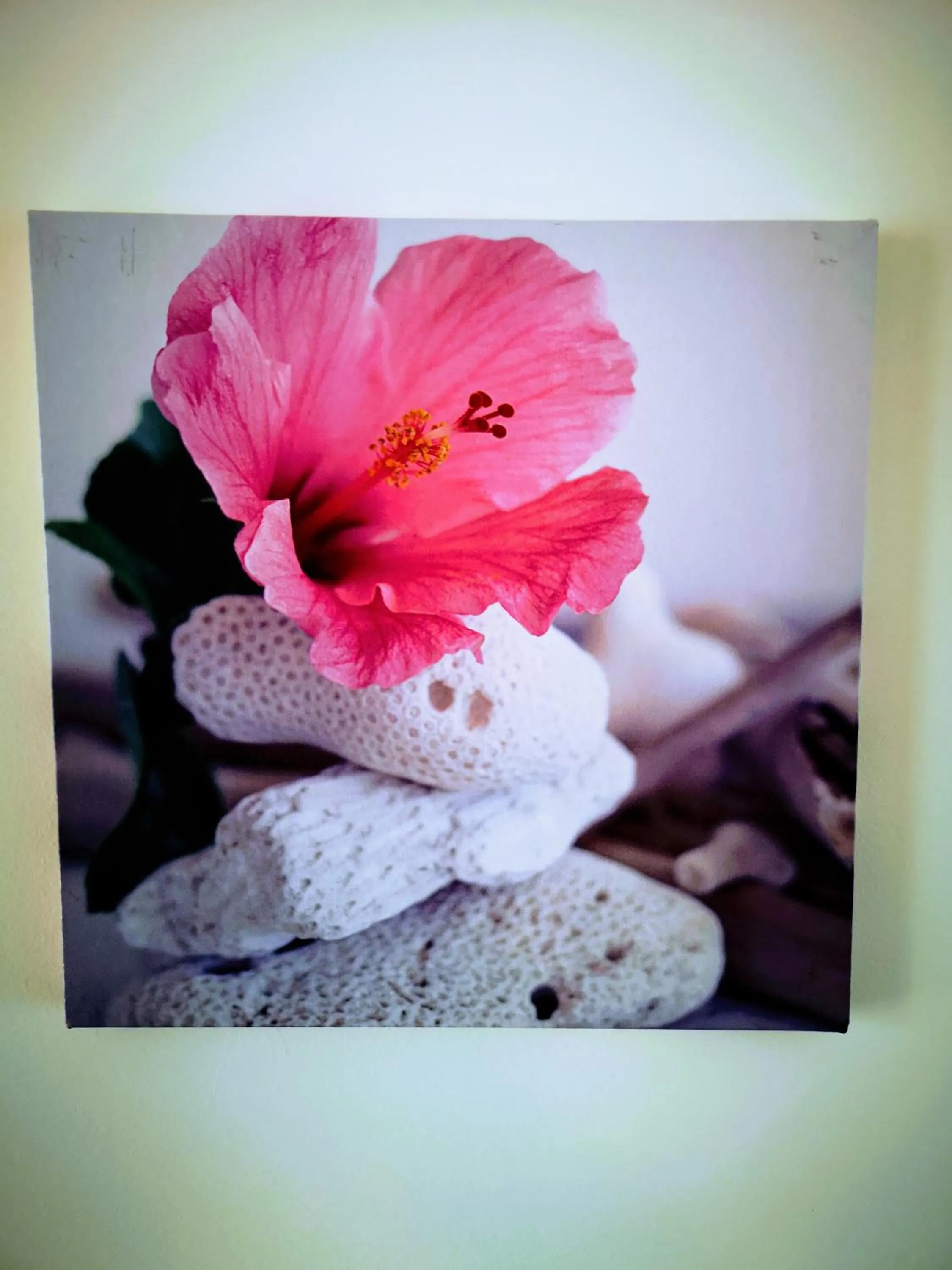 Other in Casa dos Avós Apartments