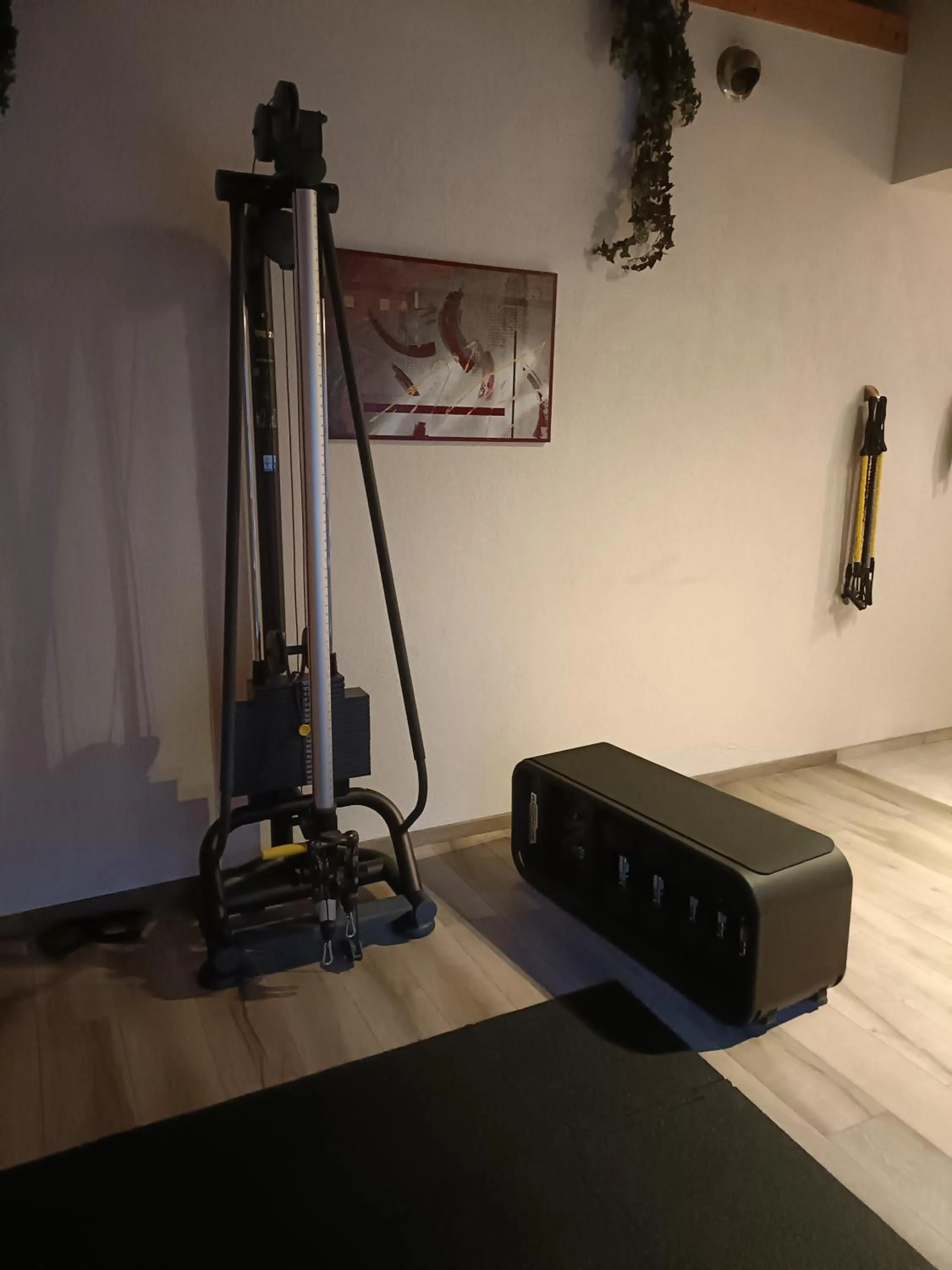 Fitness centre/facilities in Cocoon Hotel La Rive