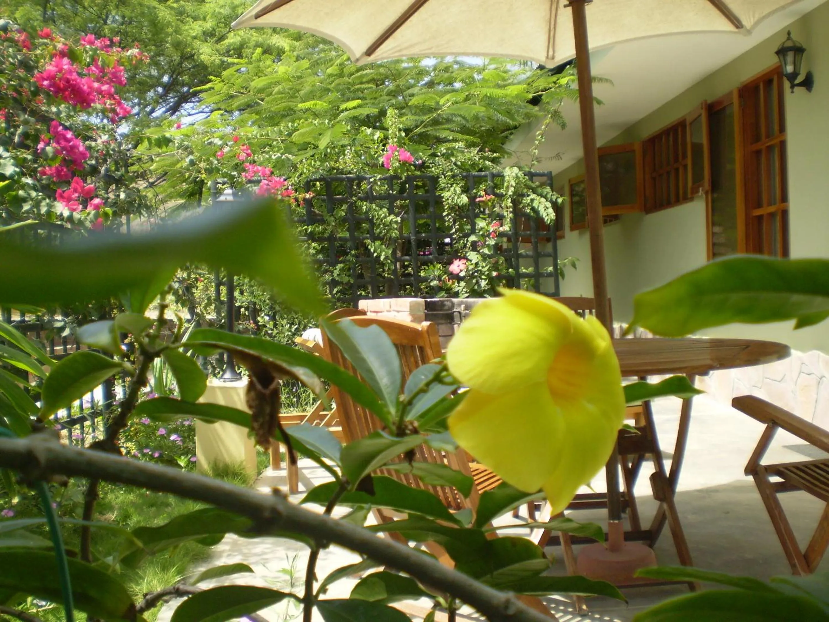 Balcony/Terrace in Punta Sal Bungalows
