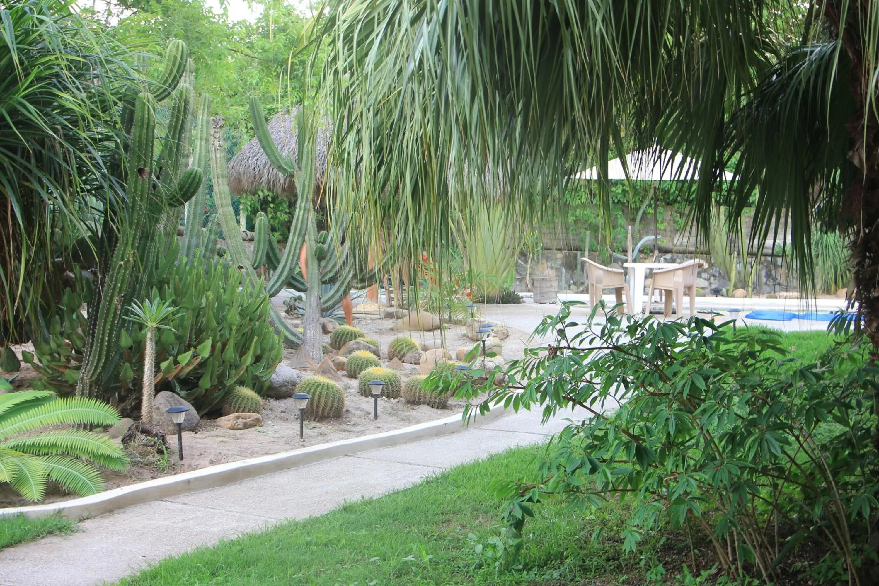 Garden in Casa Del Sol