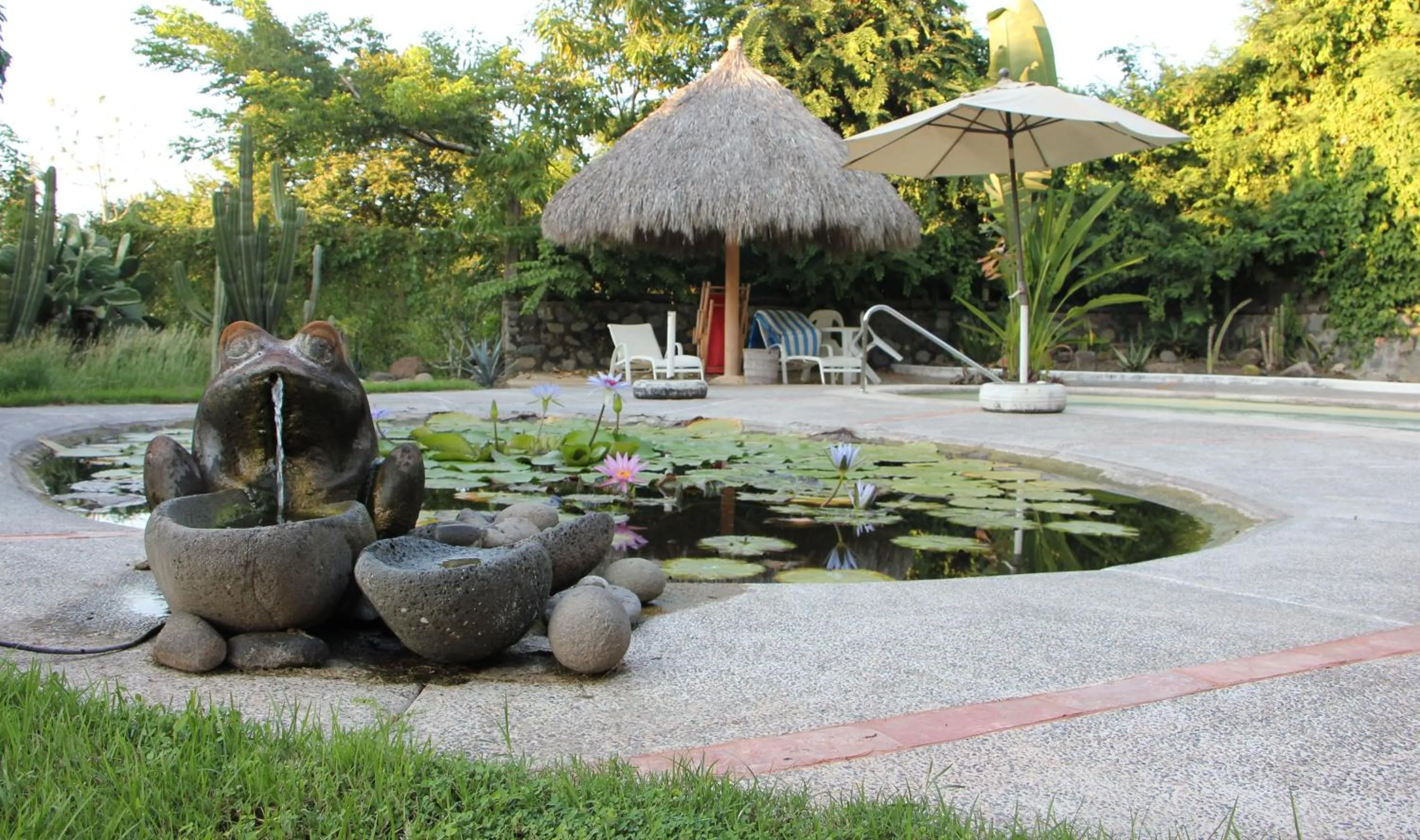 Garden in Casa Del Sol