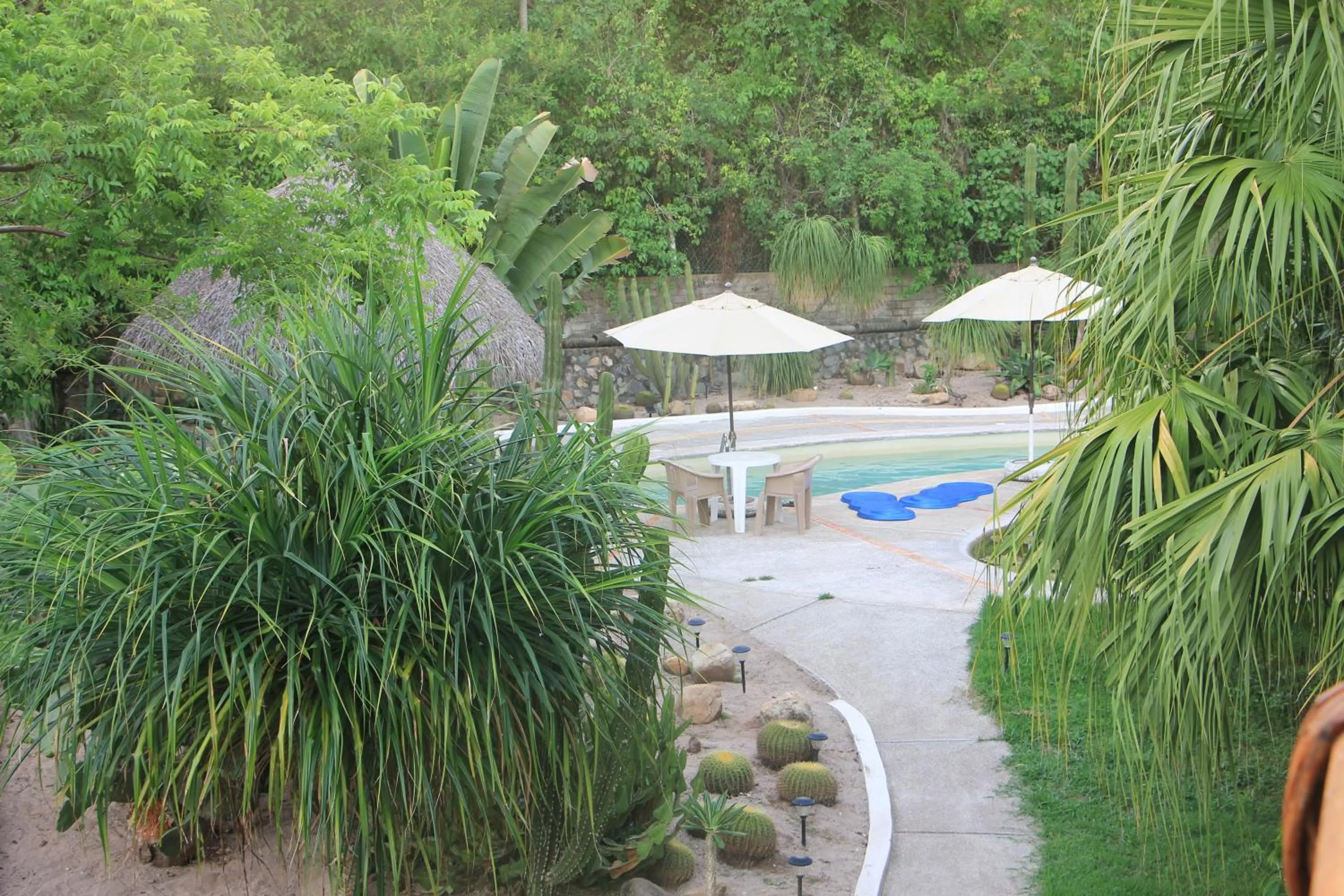 Garden in Casa Del Sol