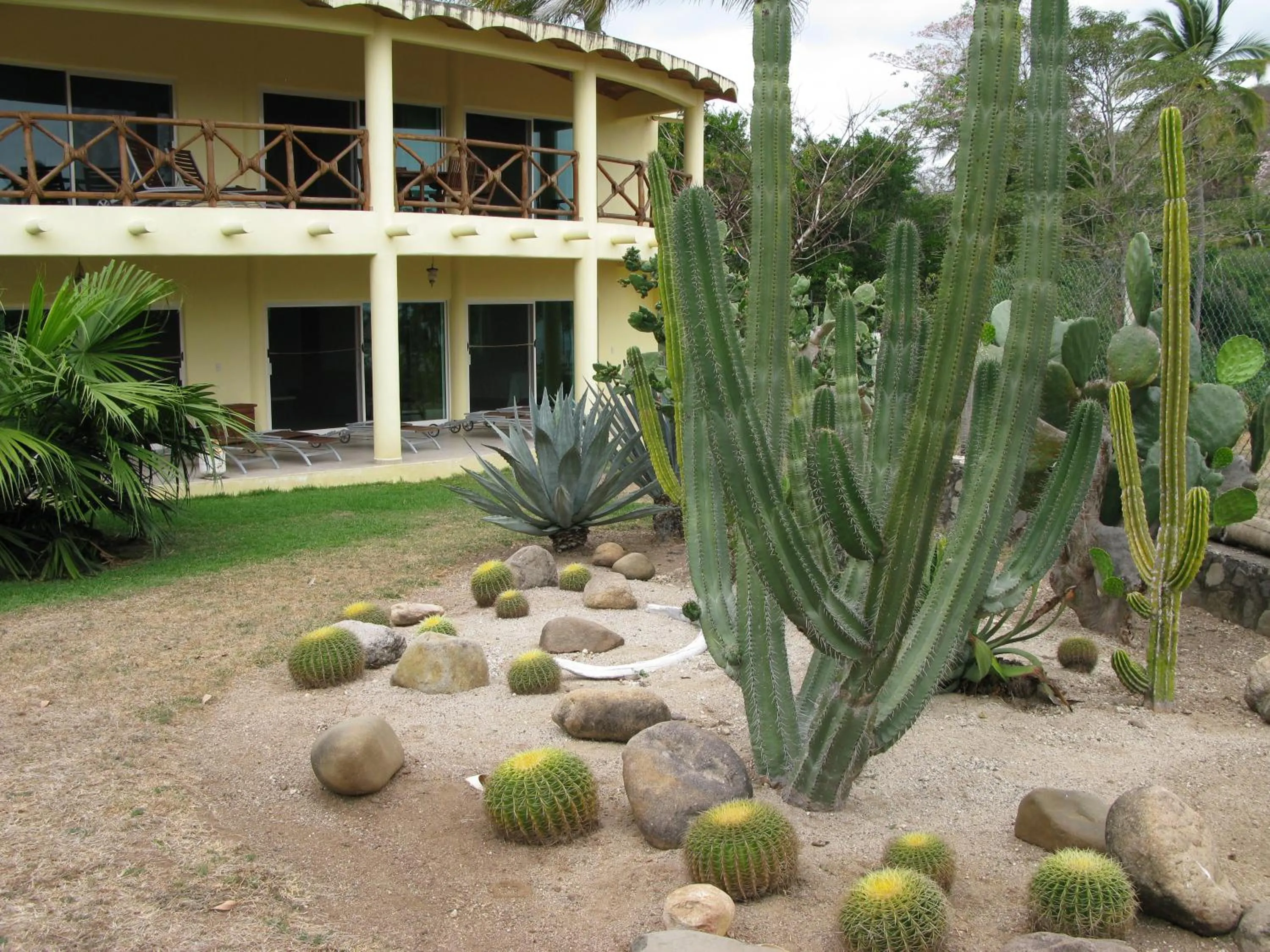 Garden in Casa Del Sol
