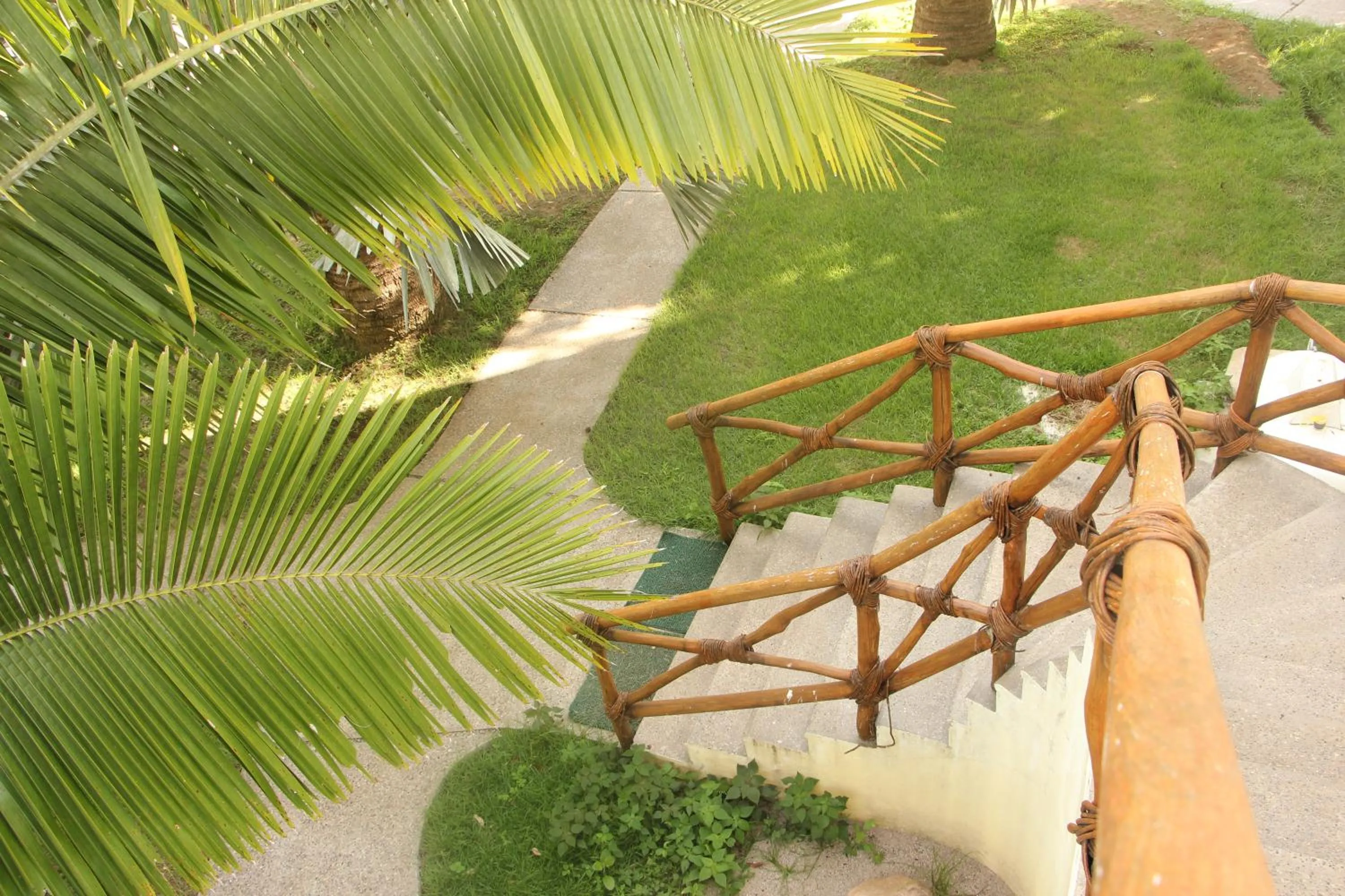 Garden in Casa Del Sol