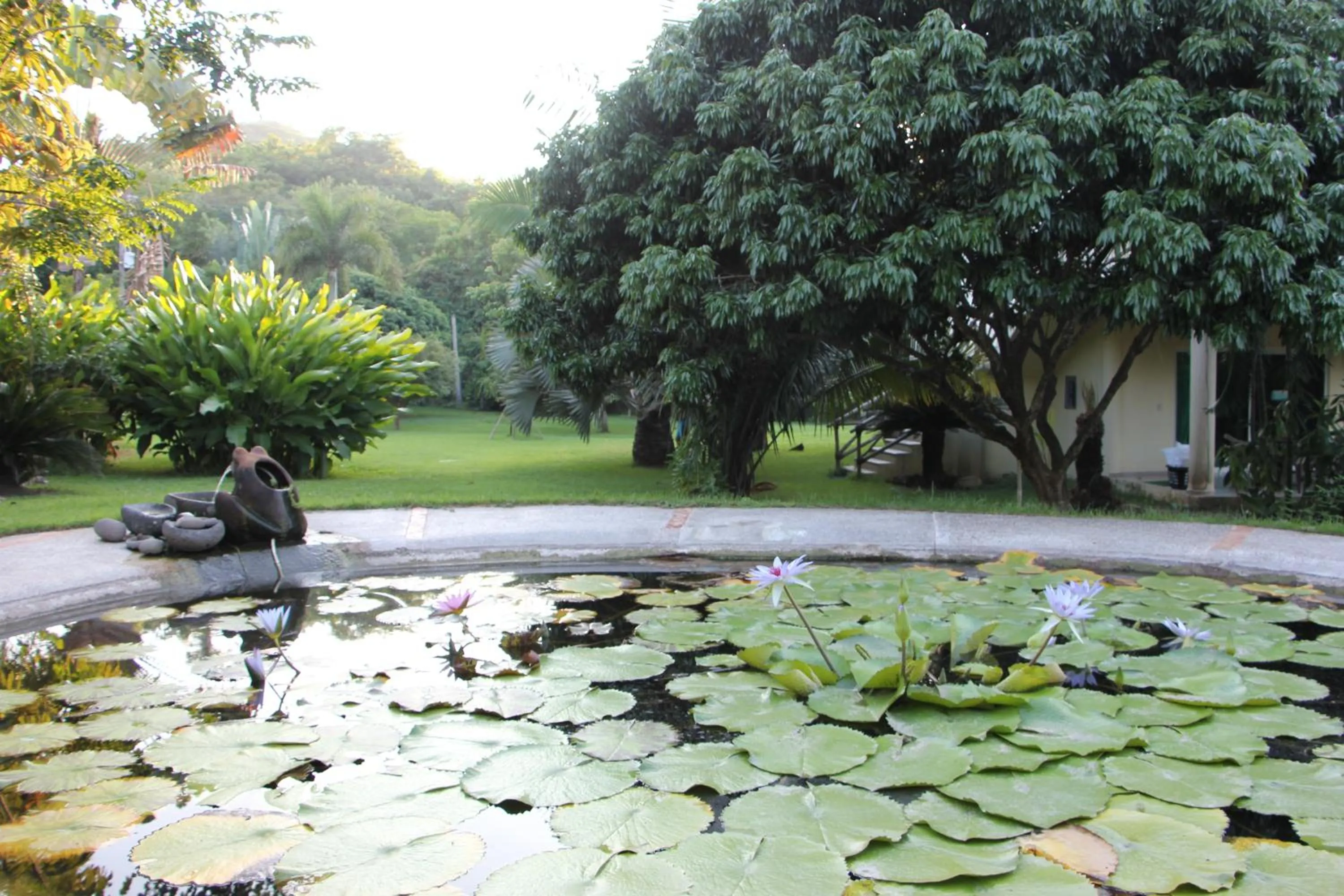 Garden in Casa Del Sol