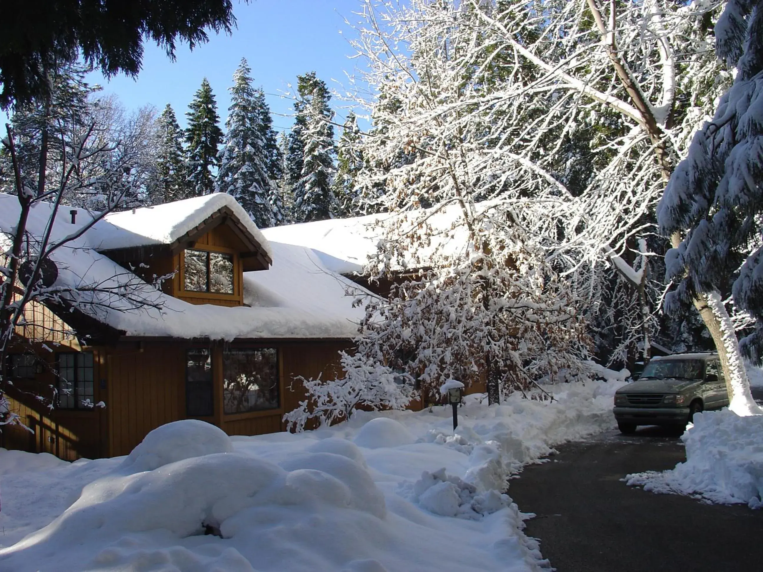 Property building, Winter in Harmony Ridge Lodge