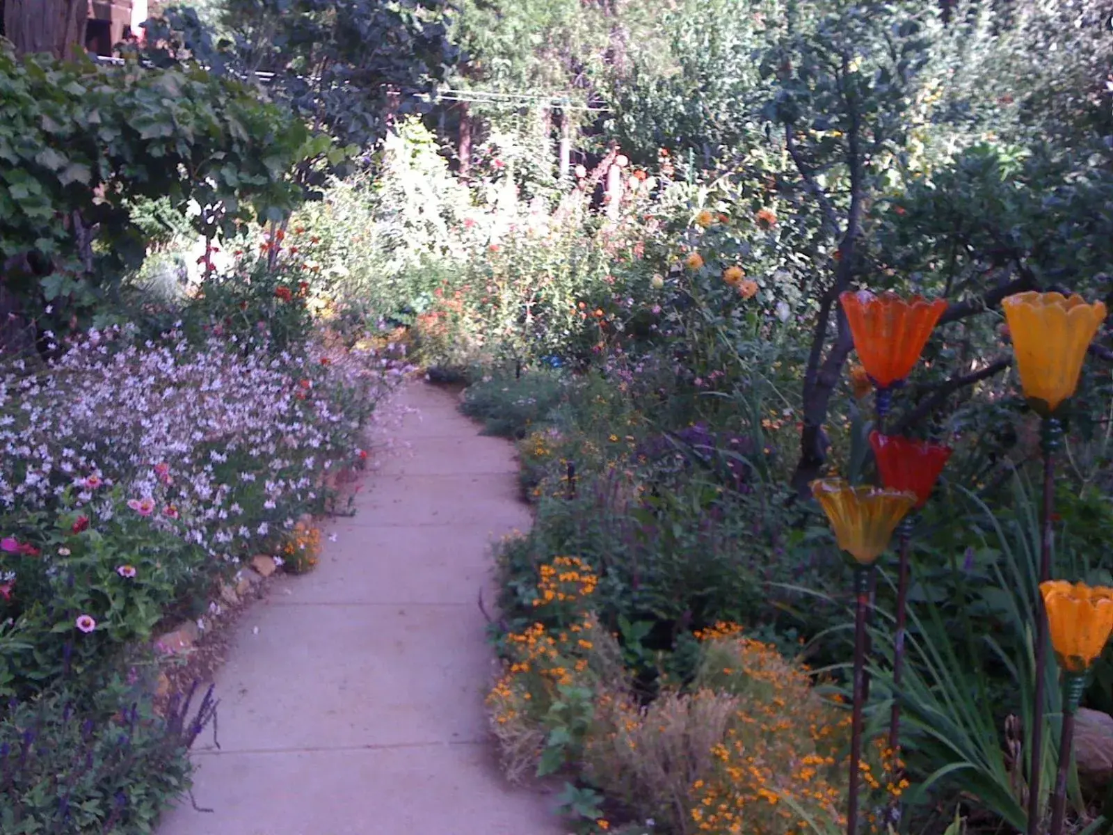 Garden in Harmony Ridge Lodge