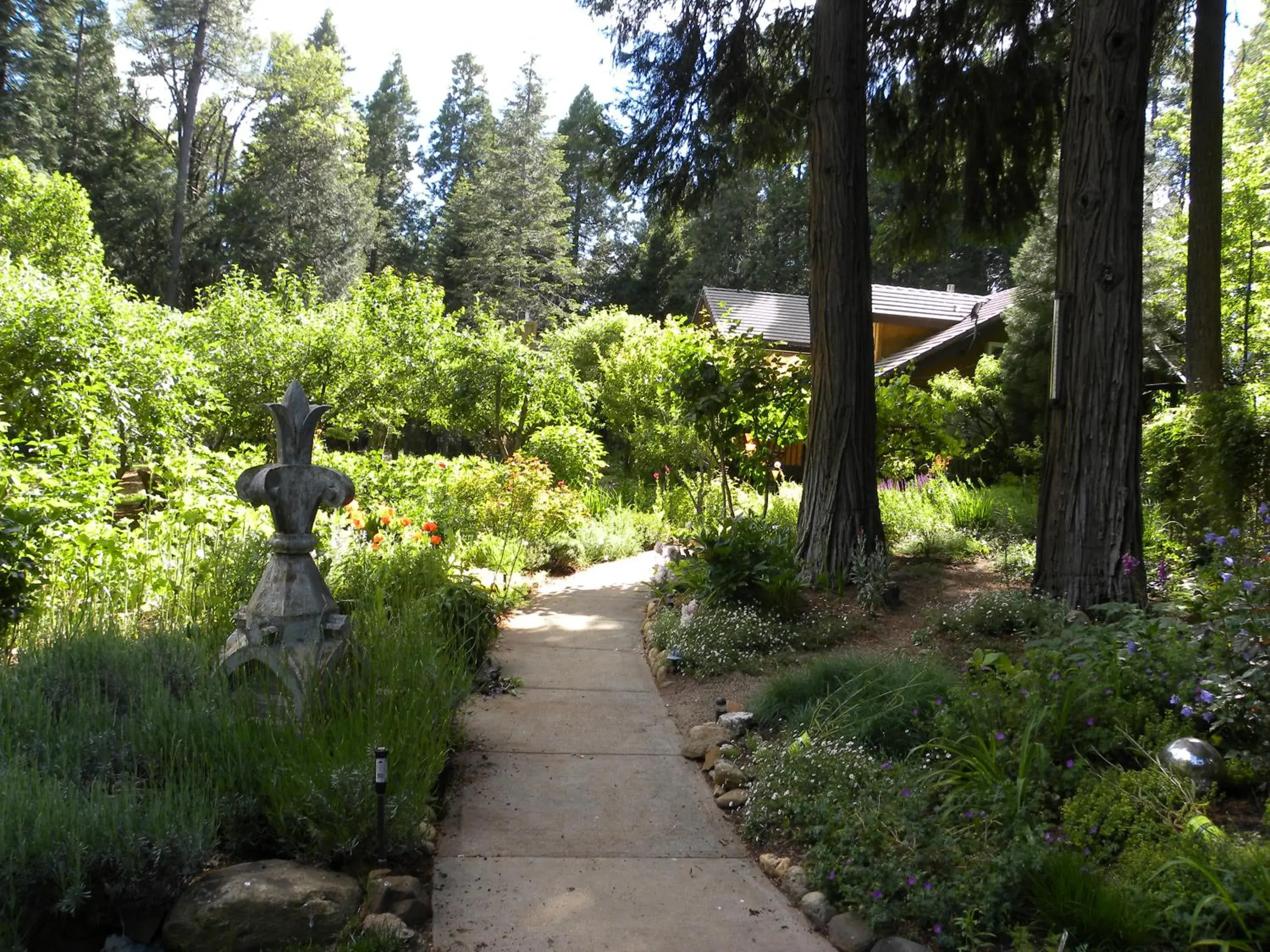 Area and facilities, Garden in Harmony Ridge Lodge