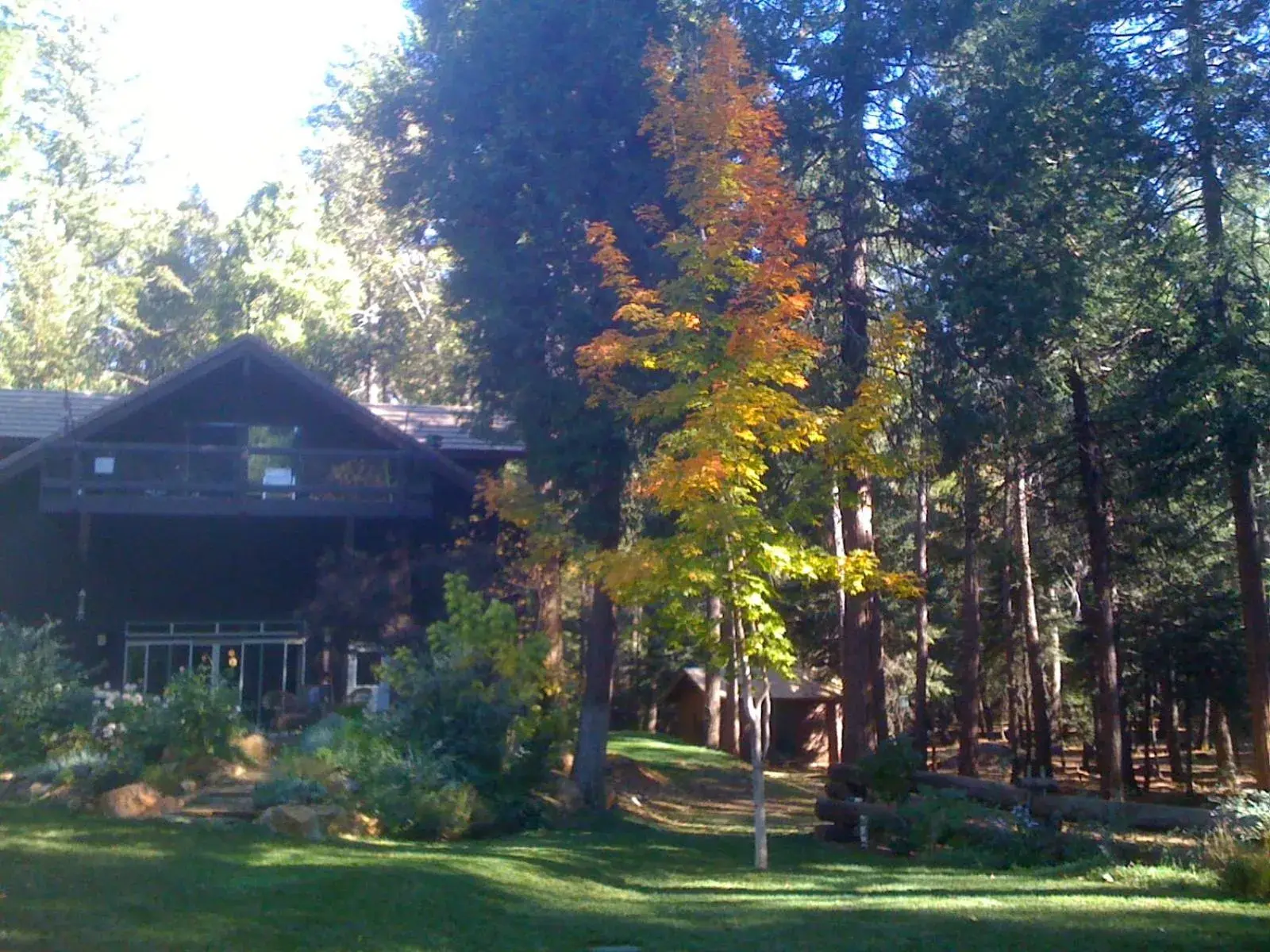 Property building, Garden in Harmony Ridge Lodge