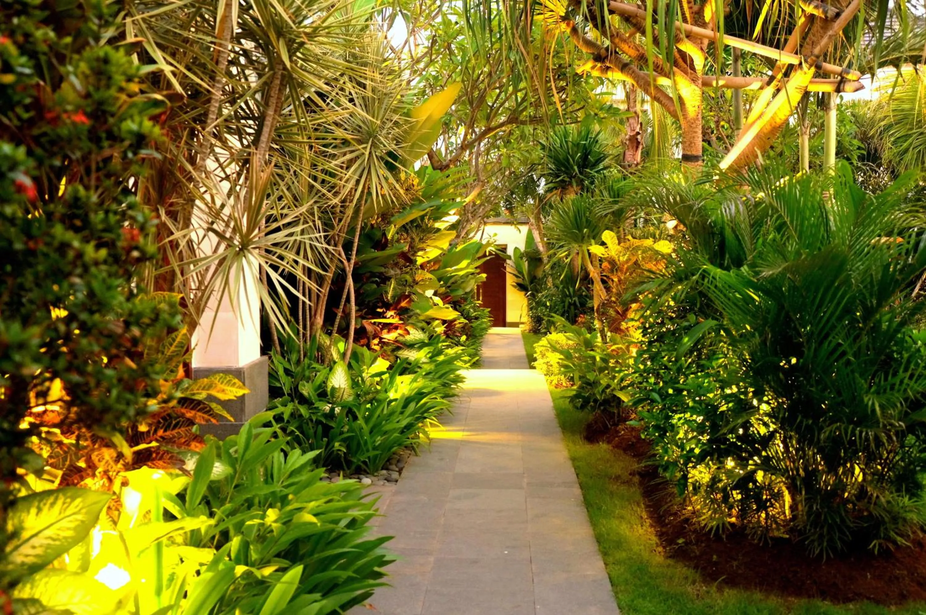 Garden in Villa Sally