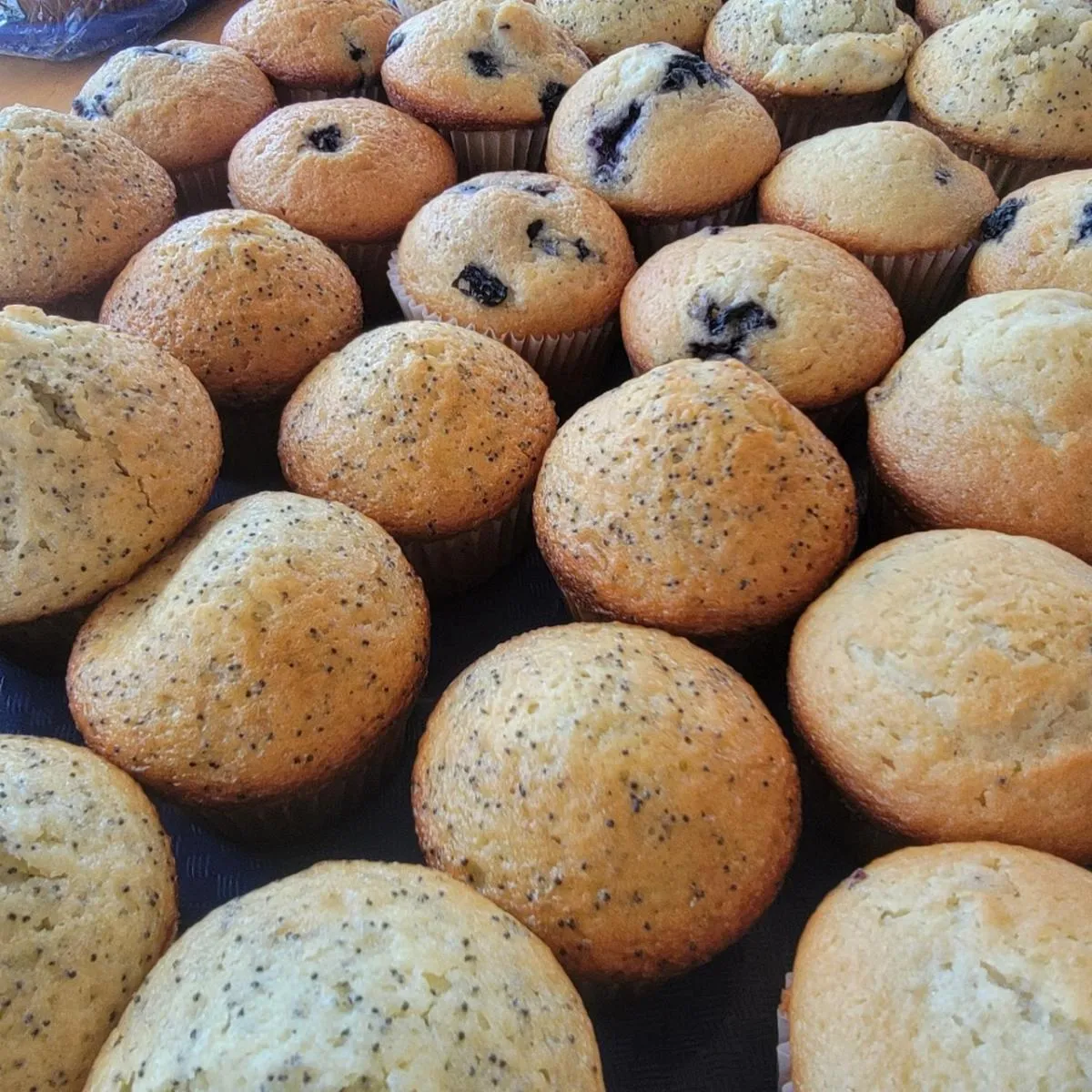 Breakfast in Wells-Ogunquit Resort Motel & Cottages