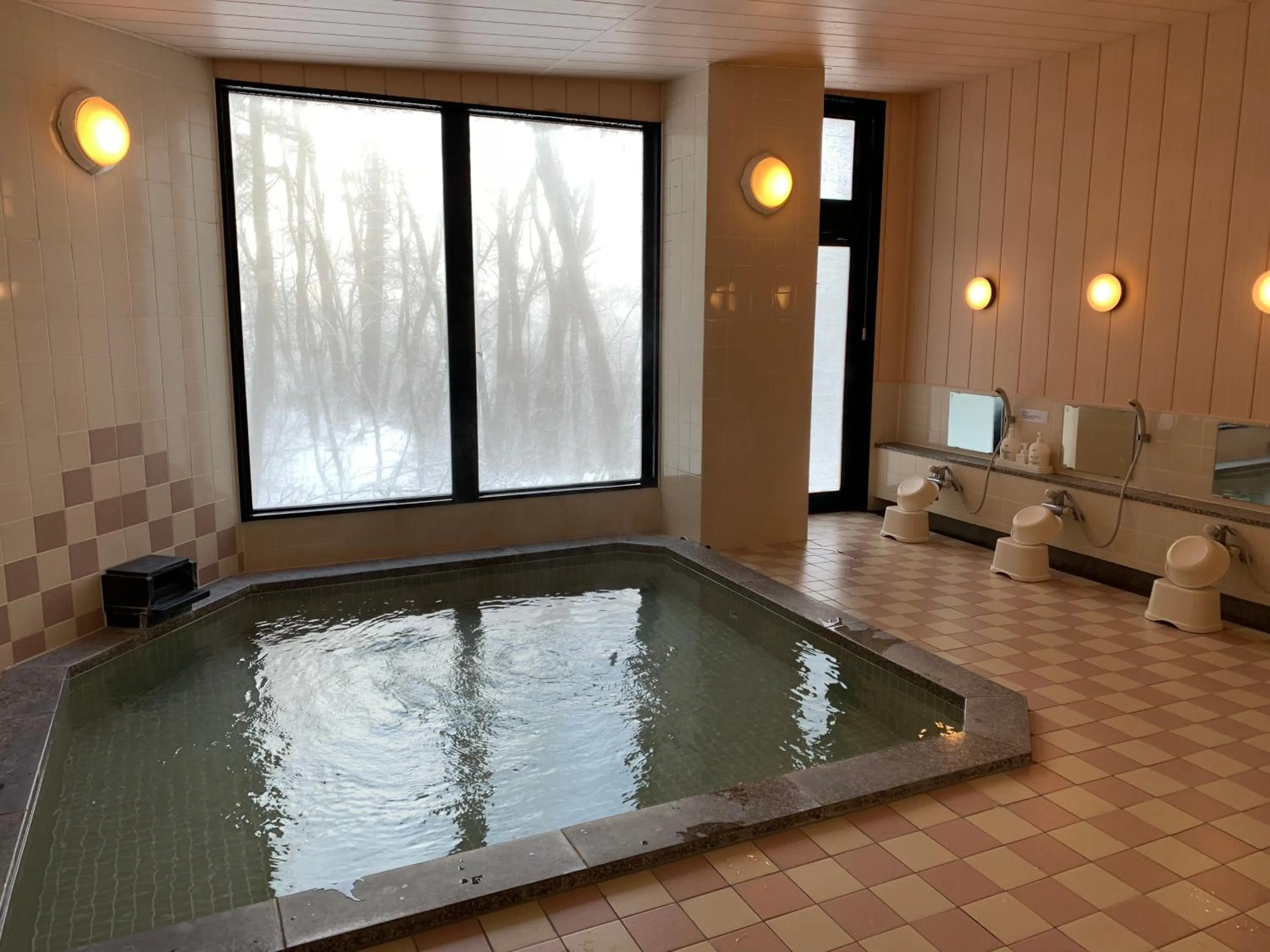 Wadano Forest Hotel & Apartments