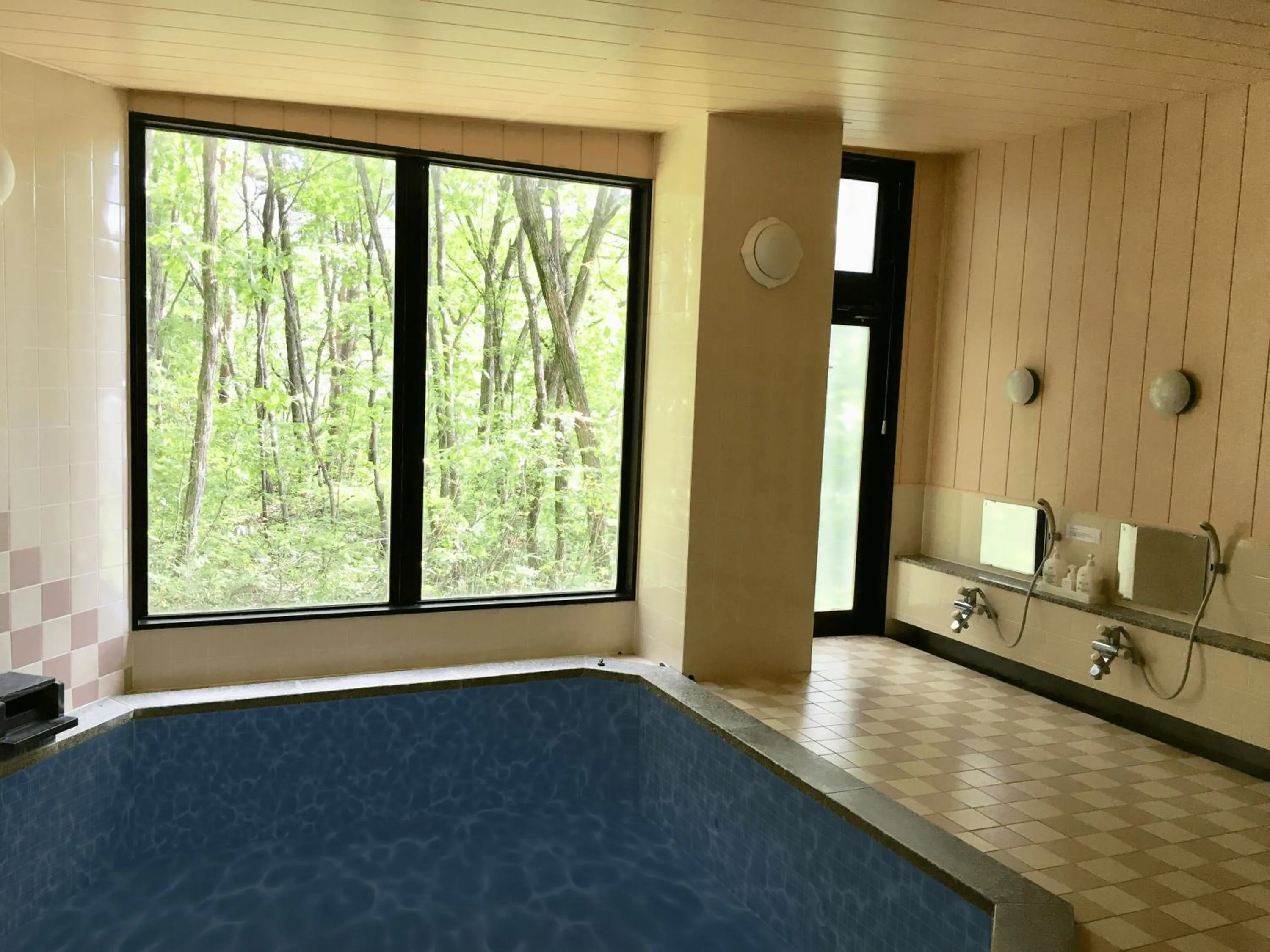 Wadano Forest Hotel & Apartments