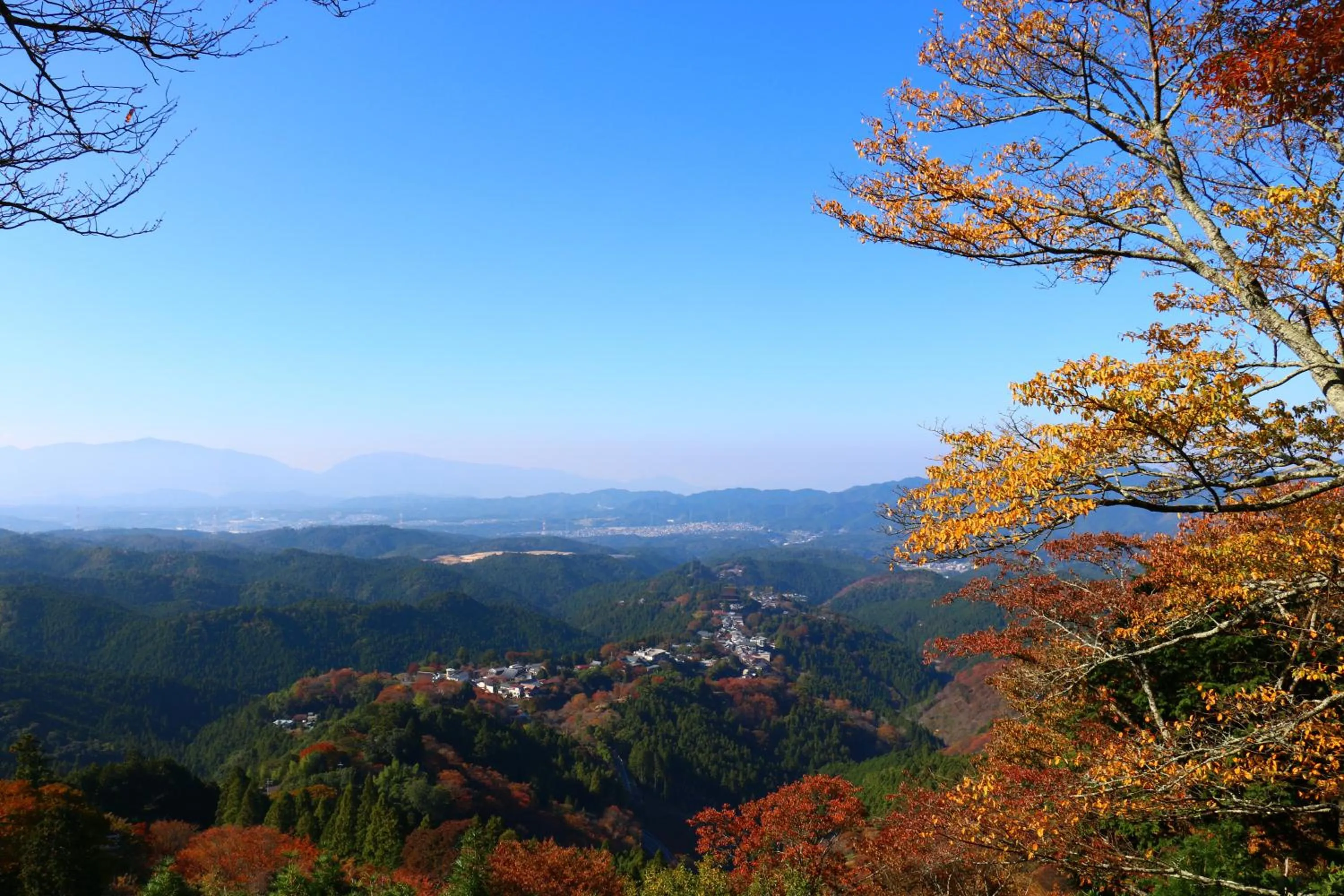 Quiet street view in 吉野荘湯川屋 Yoshinosou Yukawaya