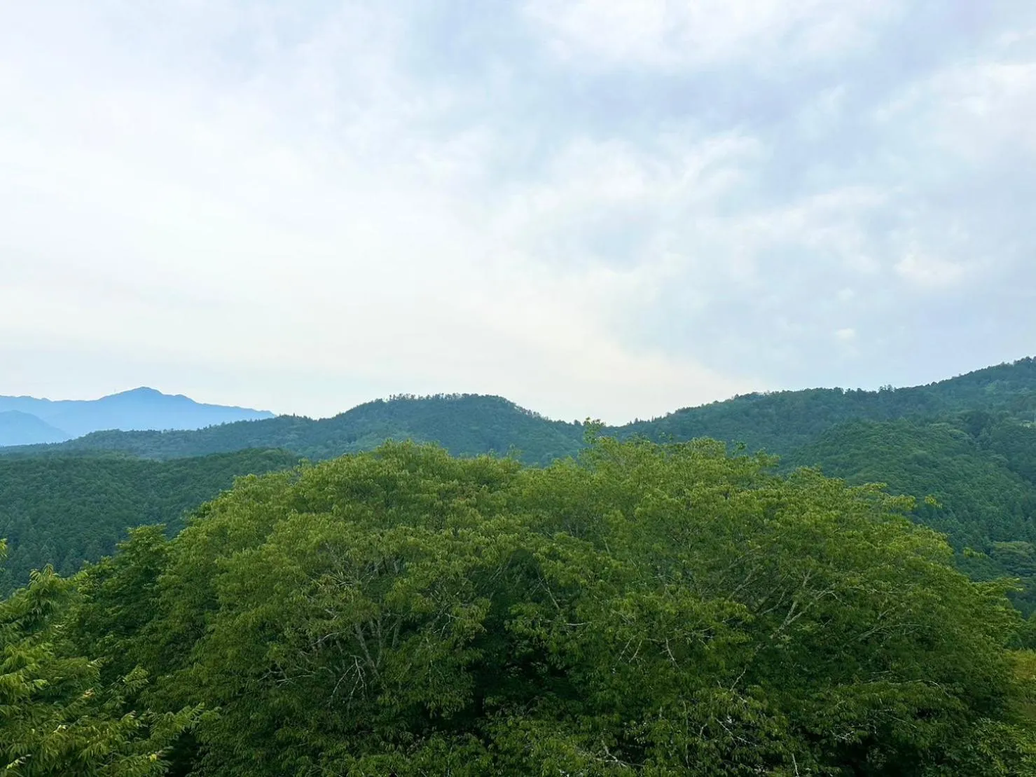 Day in 吉野荘湯川屋 Yoshinosou Yukawaya