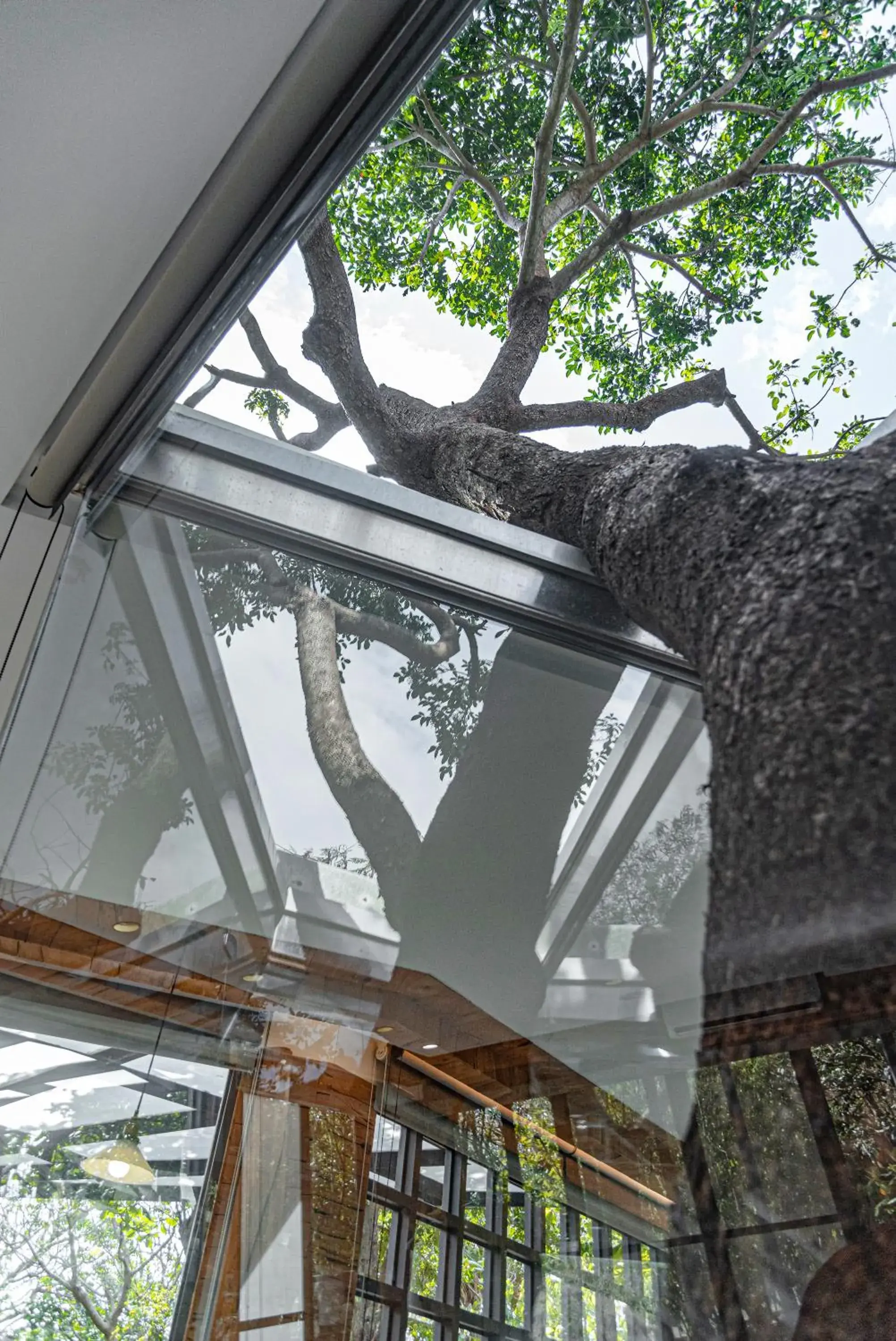 Garden view in The House 15 Villa Garden view in The House 15 Villa